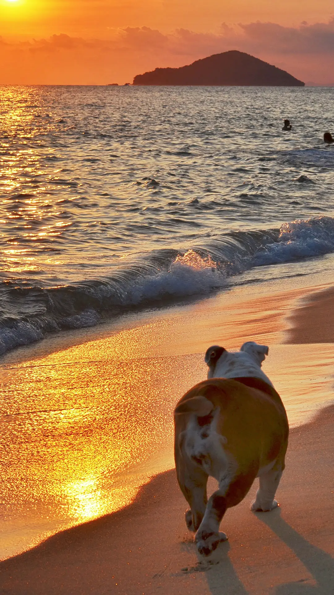 夕阳海边-视觉中国
