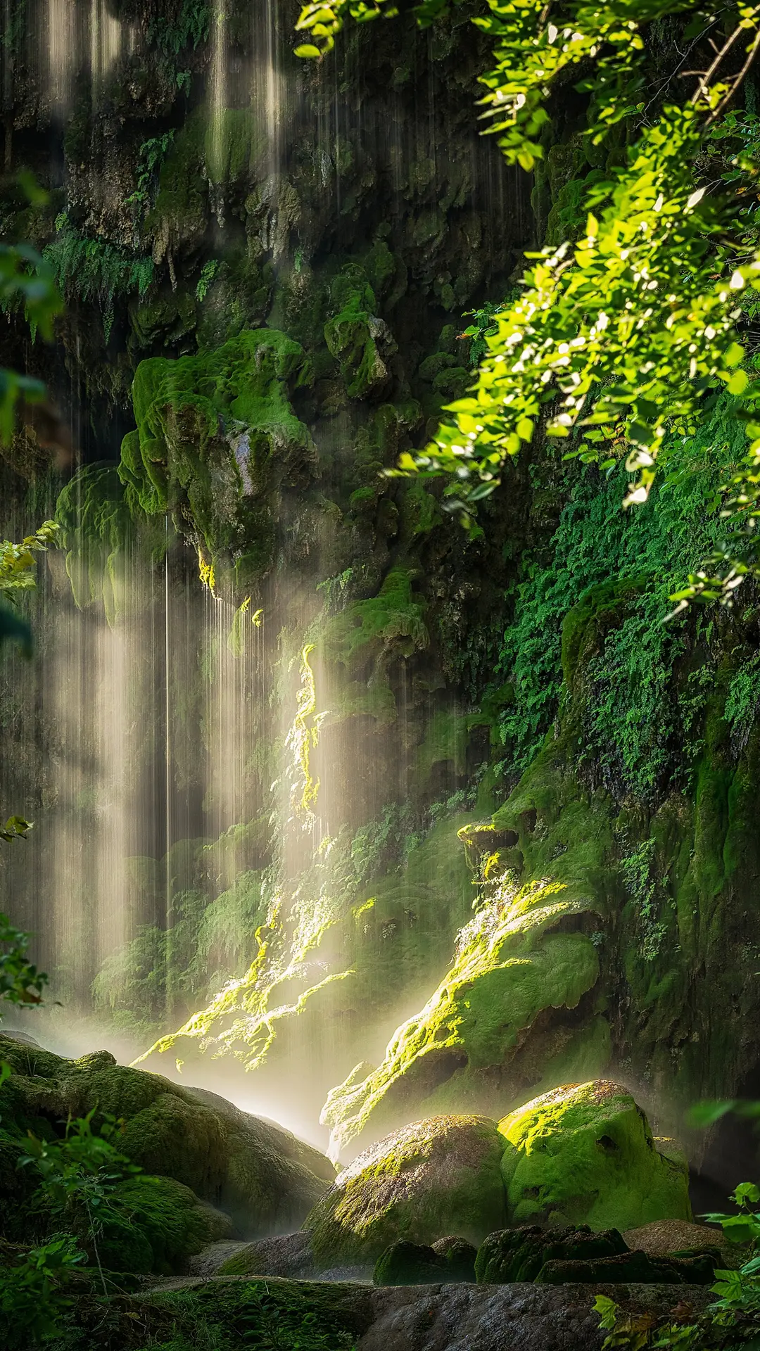 时间的三种步伐 - Screenshot 1