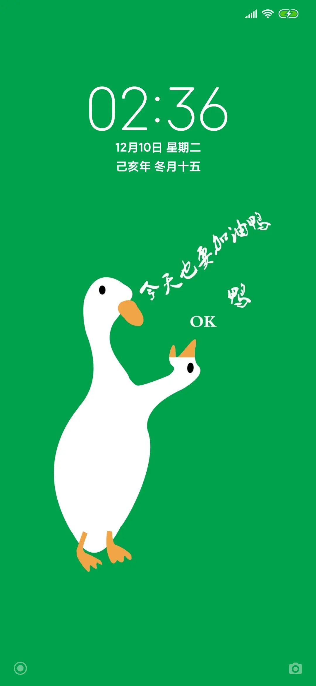 今天也要加油鸭