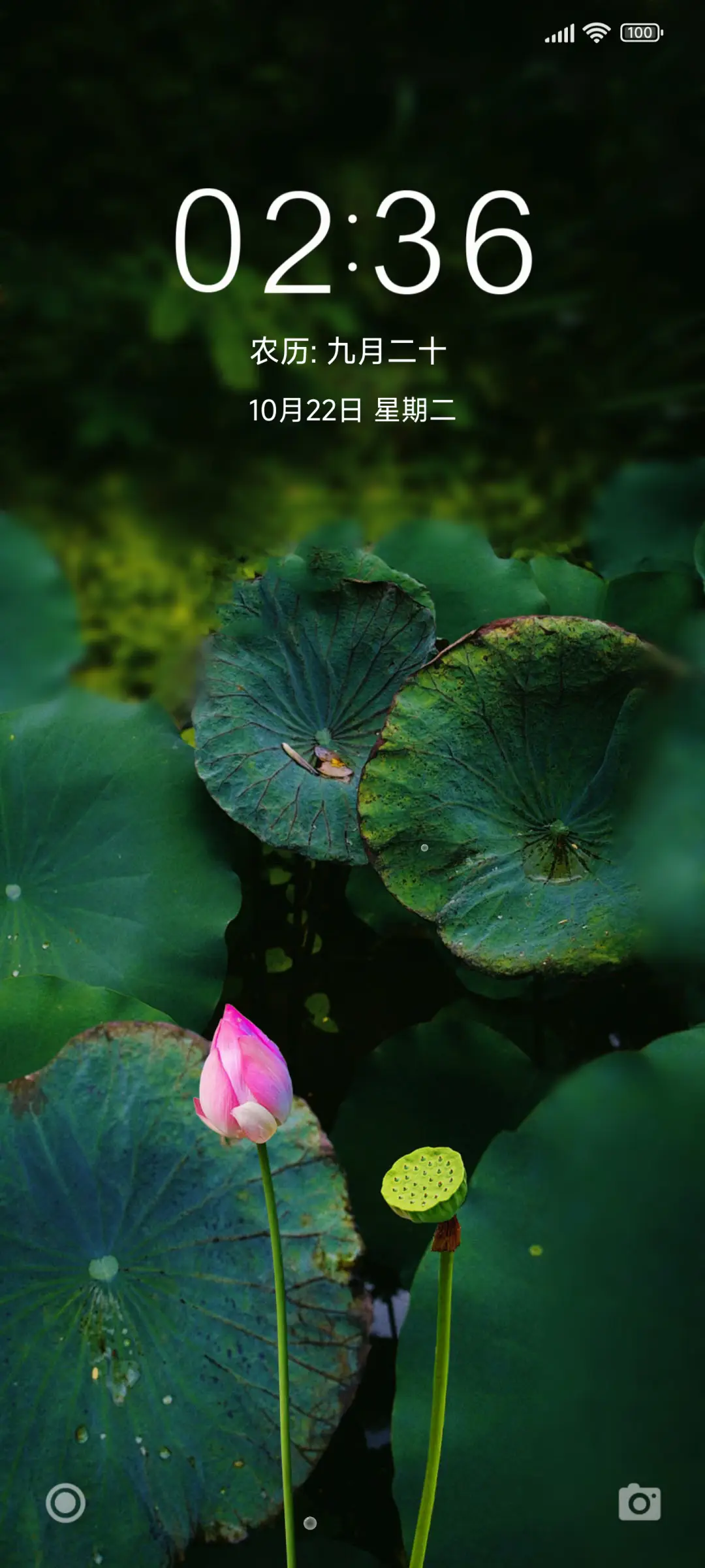 夏荷 护眼 - Screenshot 1