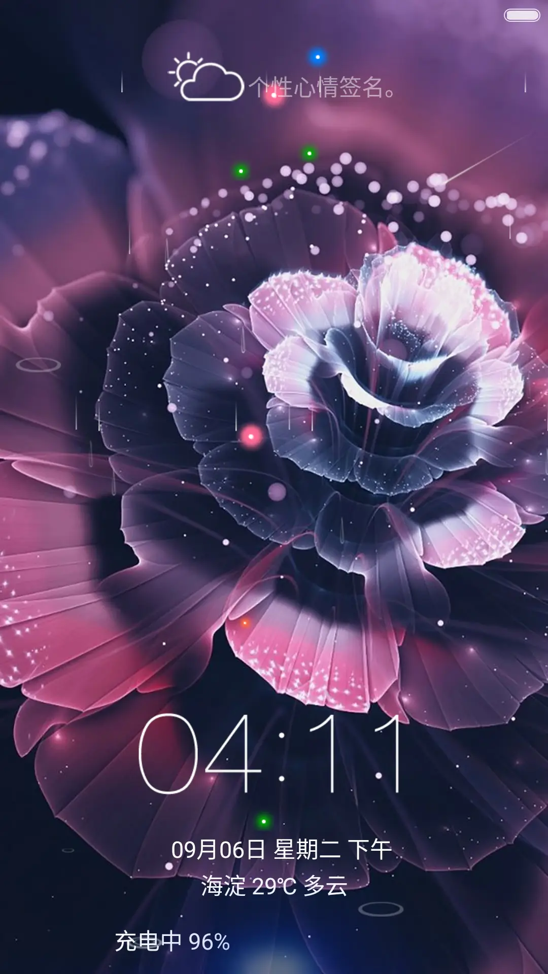 彩色花蕾（流星下雨4D动态）