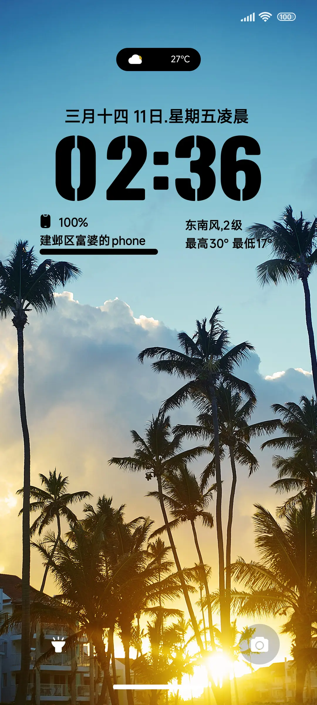 简约椰林