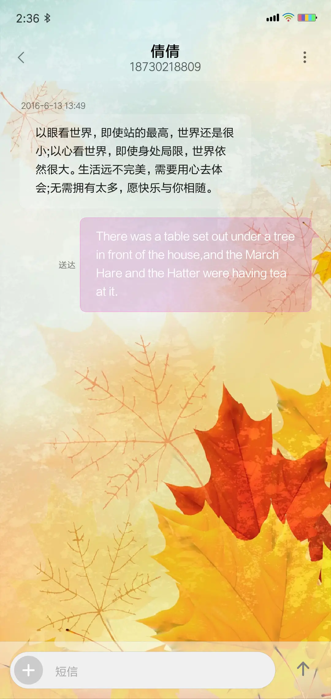 枫叶 - Screenshot 8