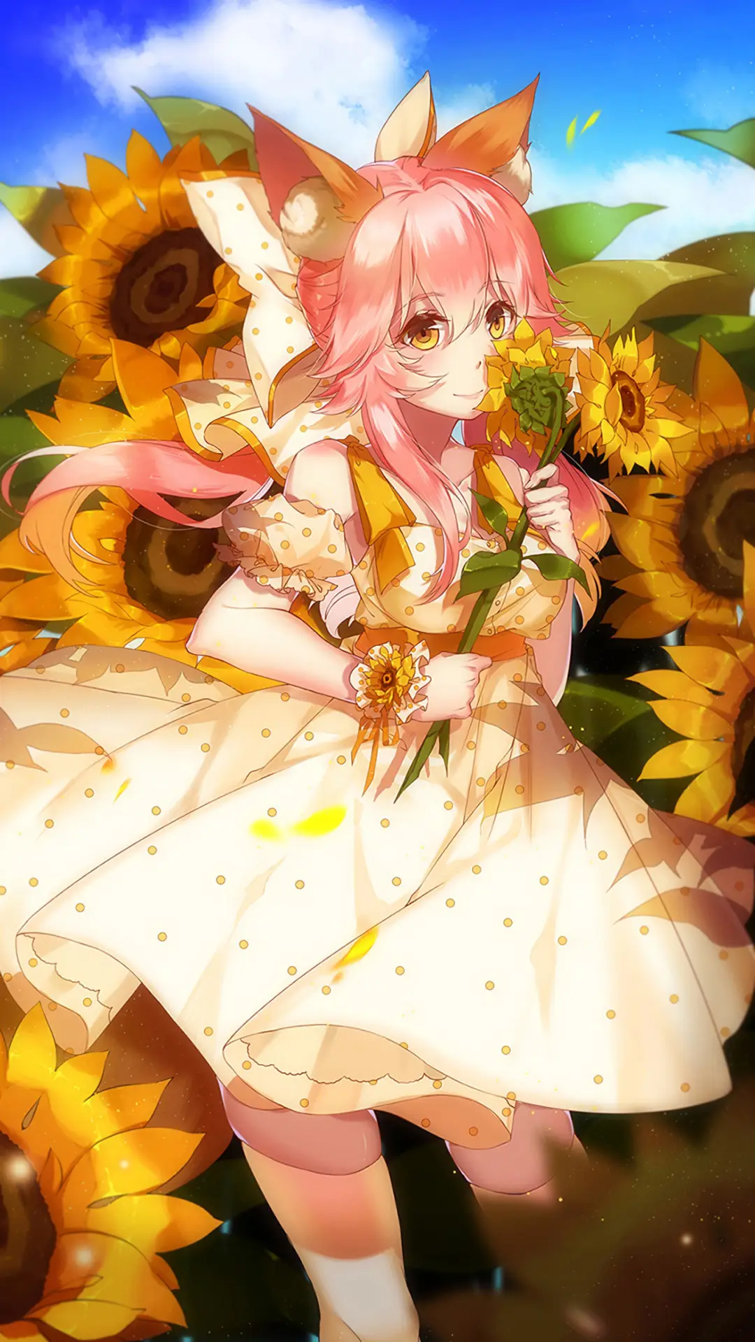 向日葵盛开的地方