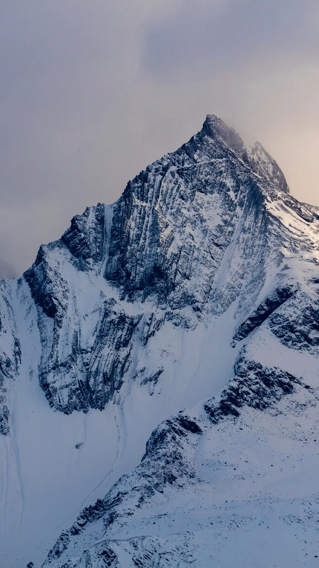 夏日雪景-拍信图库 - Screenshot 1