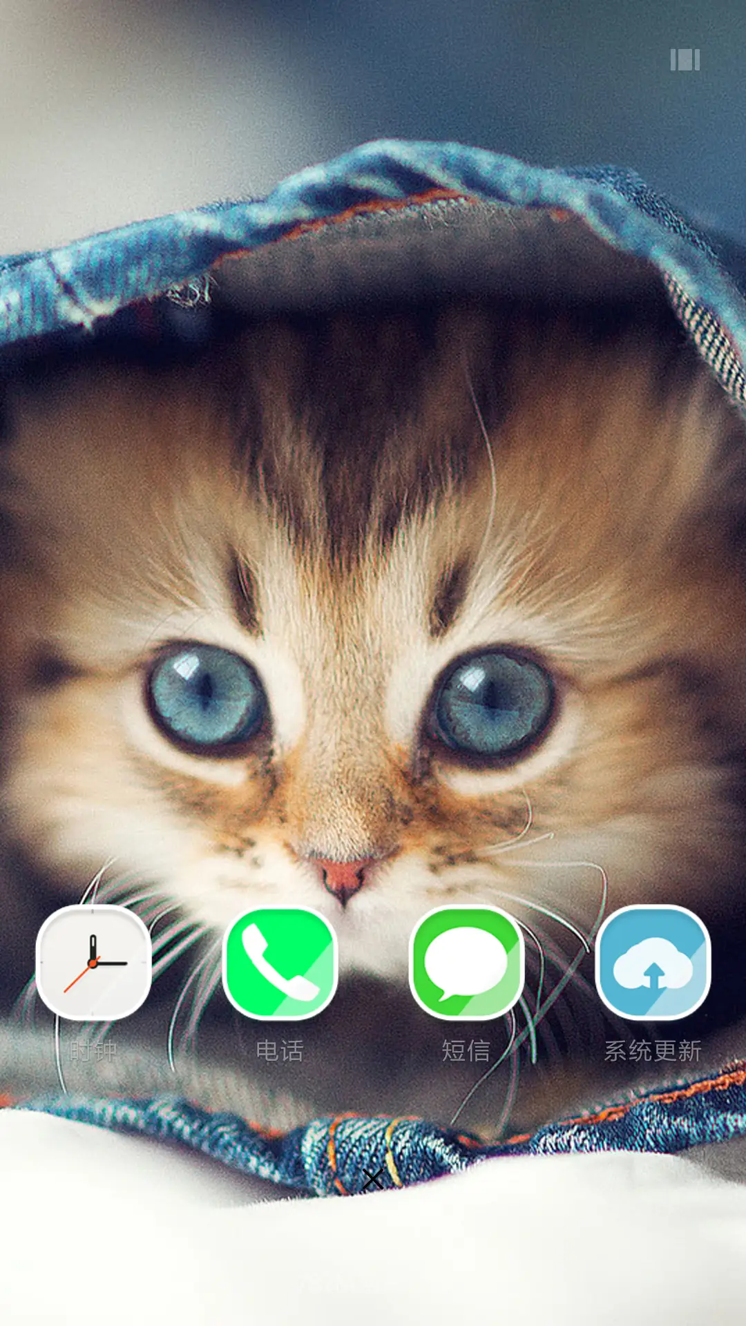 萌猫（不信你不喜欢啊） - Screenshot 4