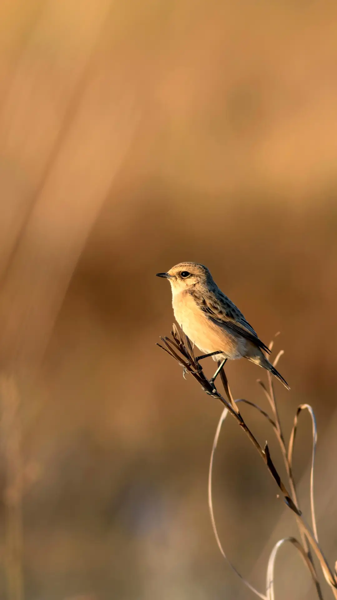 自然风光-拍信图库