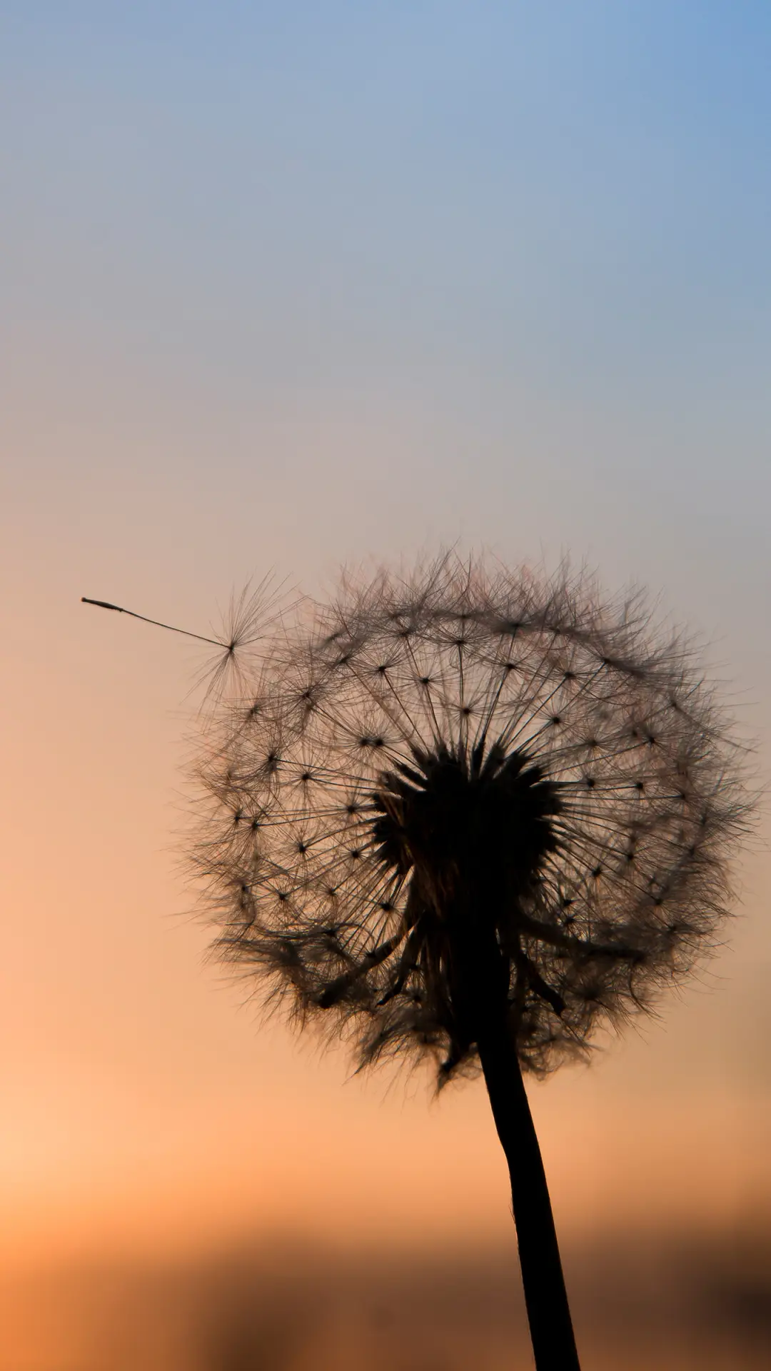 春意渐起-拍信图库 - Screenshot 1