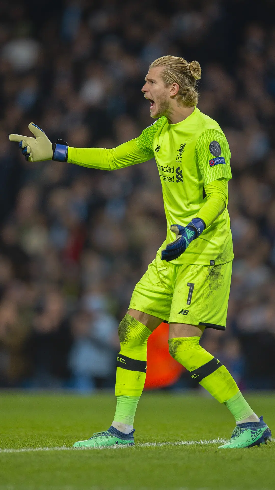 洛里斯·卡里乌斯