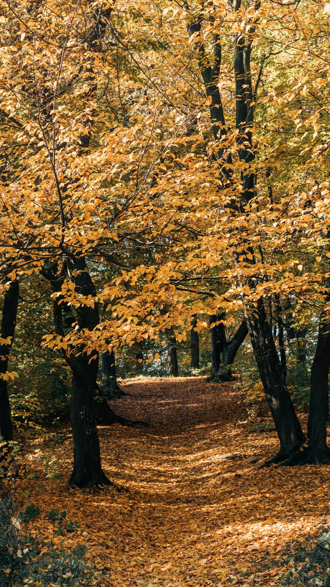 自然风光-拍信图库