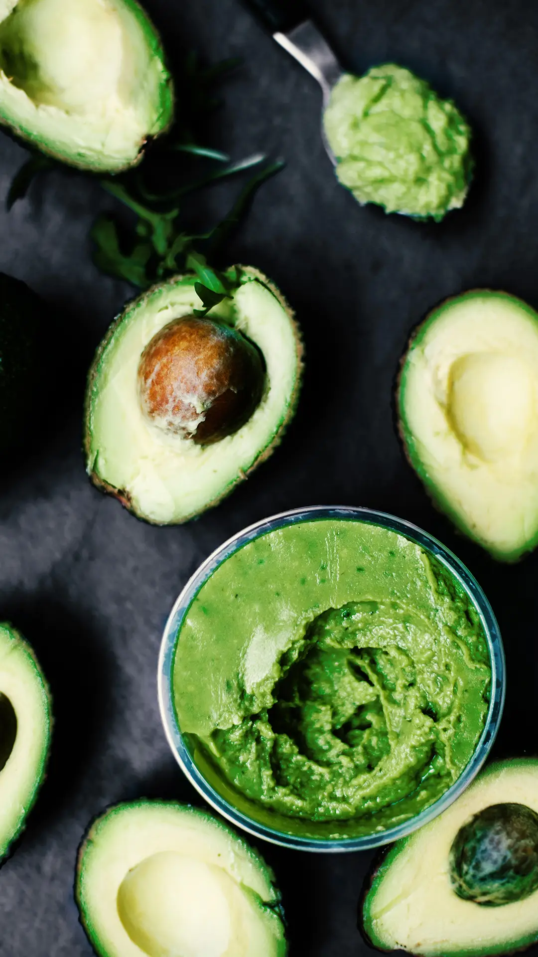 牛油果-锐景创意