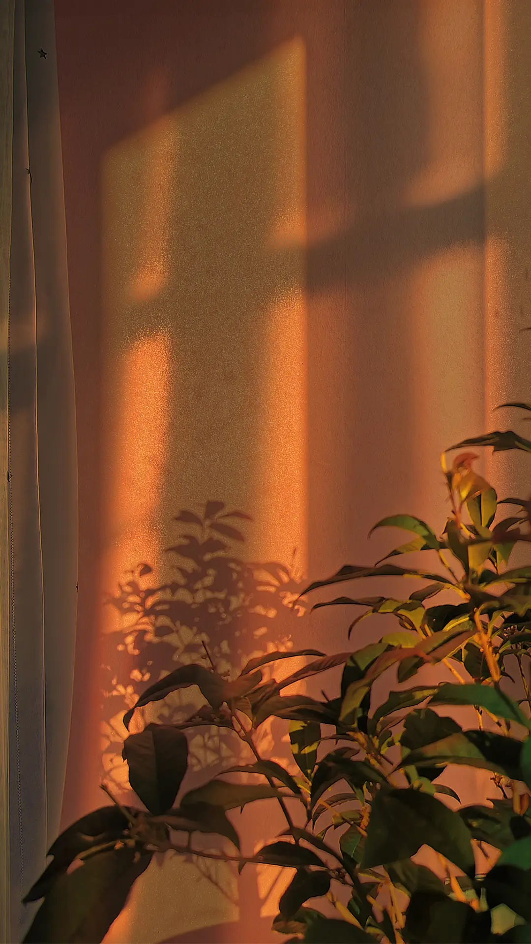 治愈景色-拍信图库