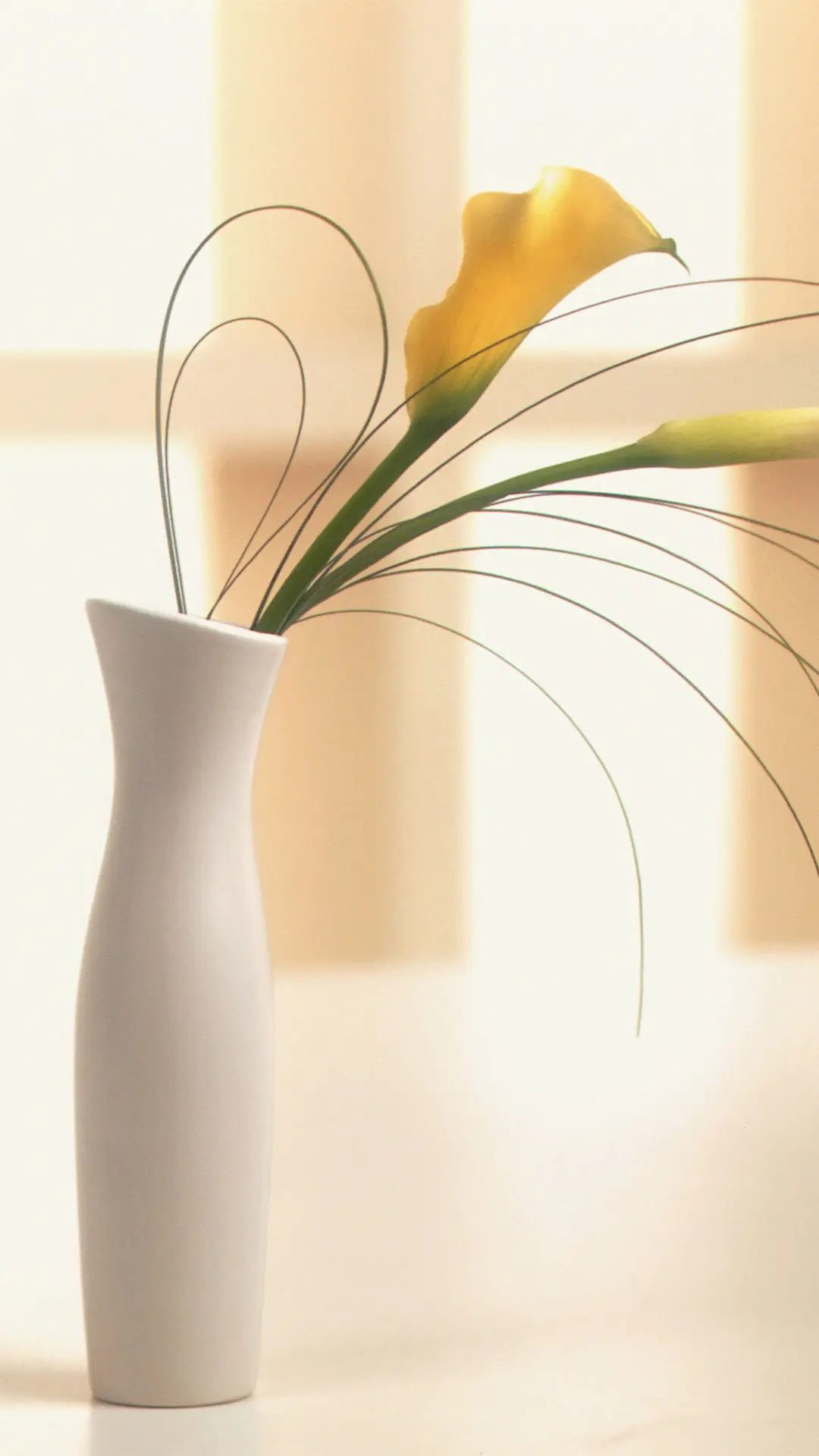 花瓶家居-视觉中国 