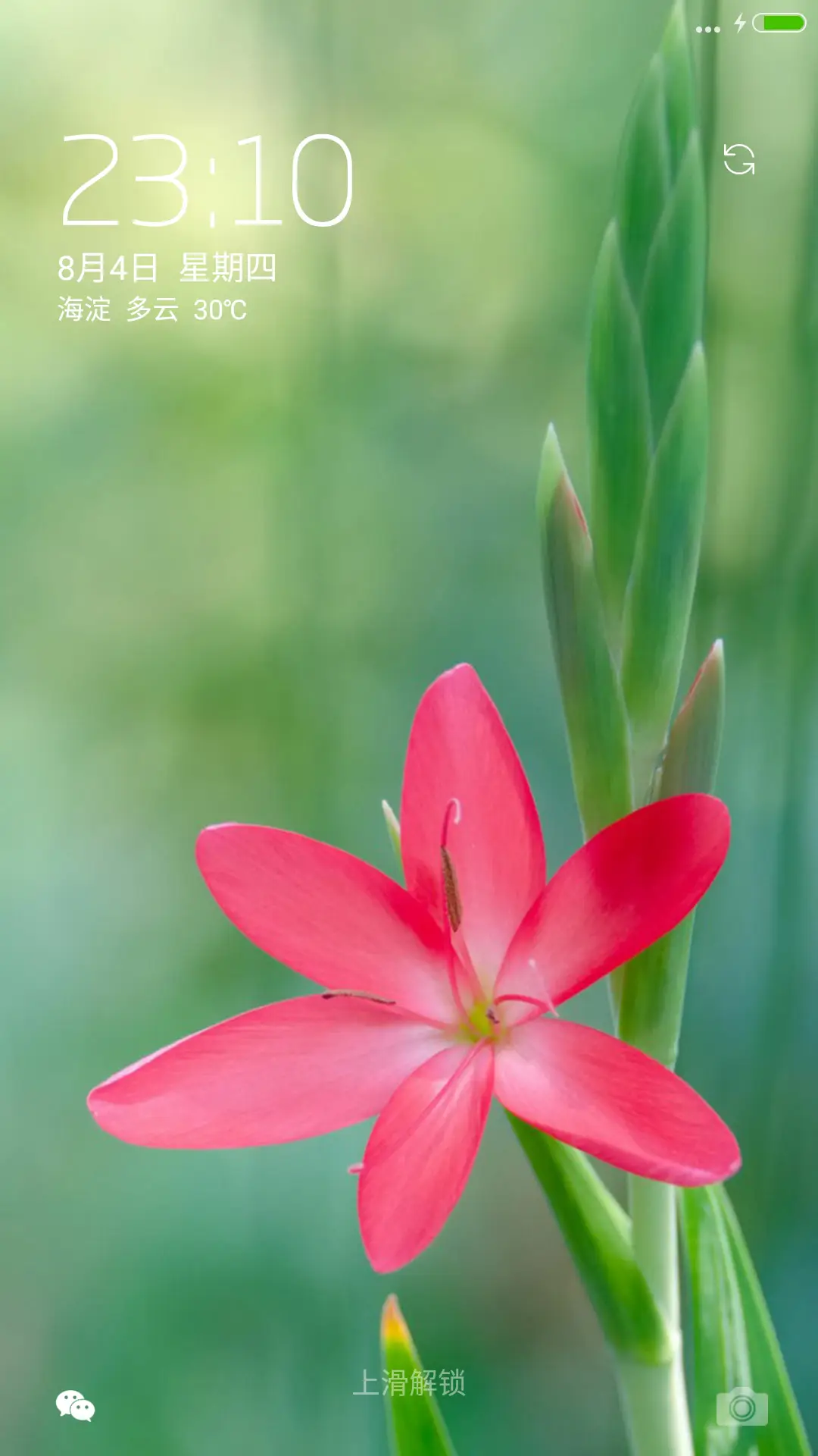 【好评送收费主题兑换码】粉色小花 - Screenshot 1