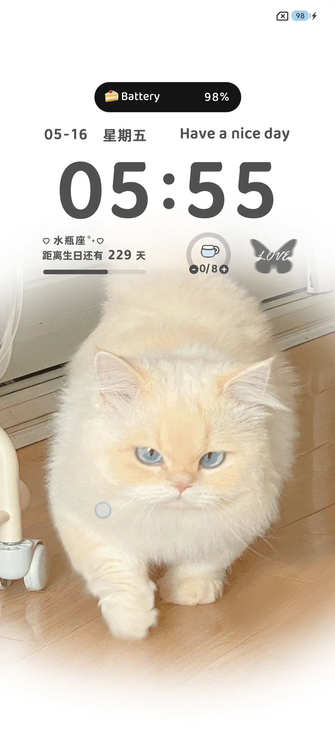 ins小猫呆呆嘟 - Screenshot 3