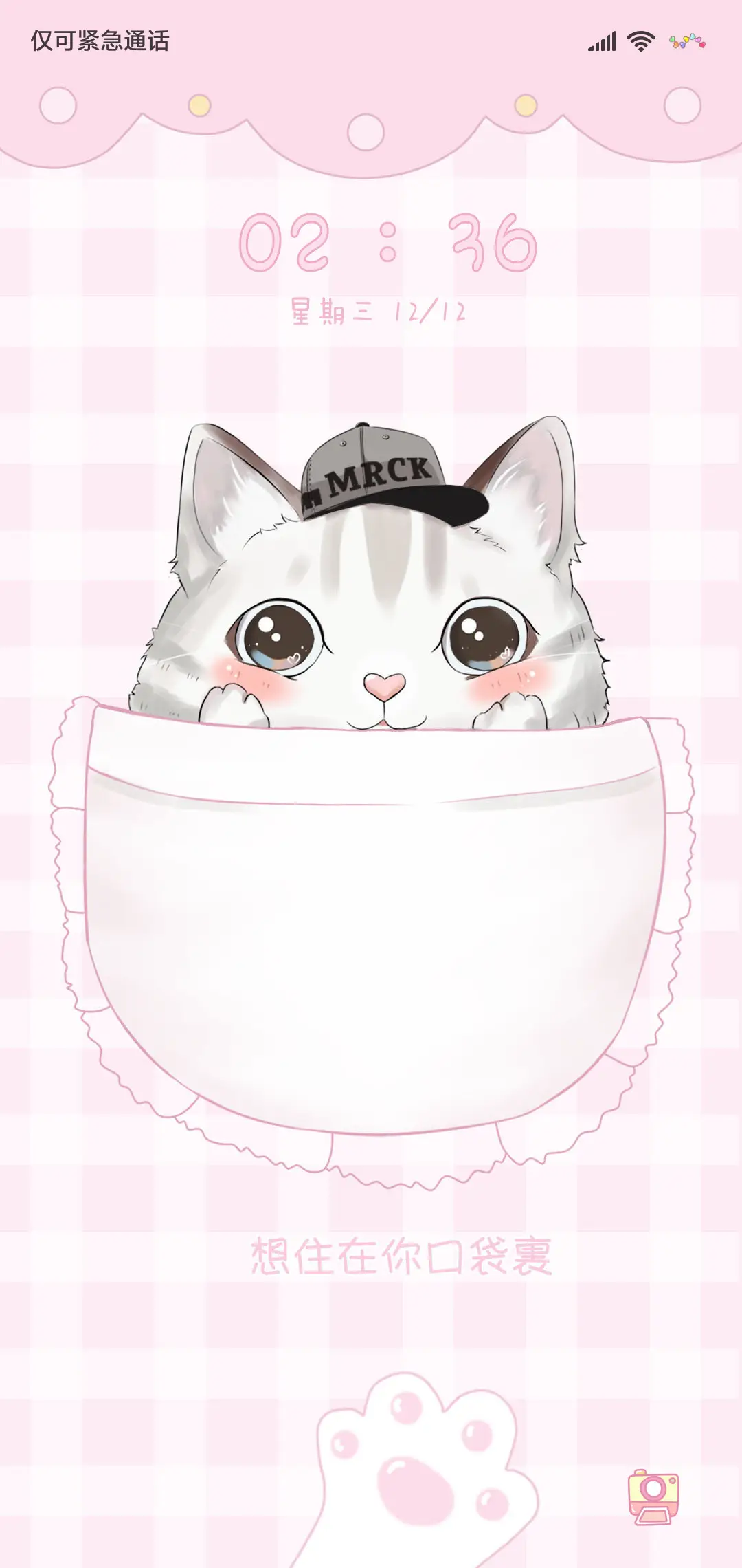 呆萌口袋猫 - Screenshot 1