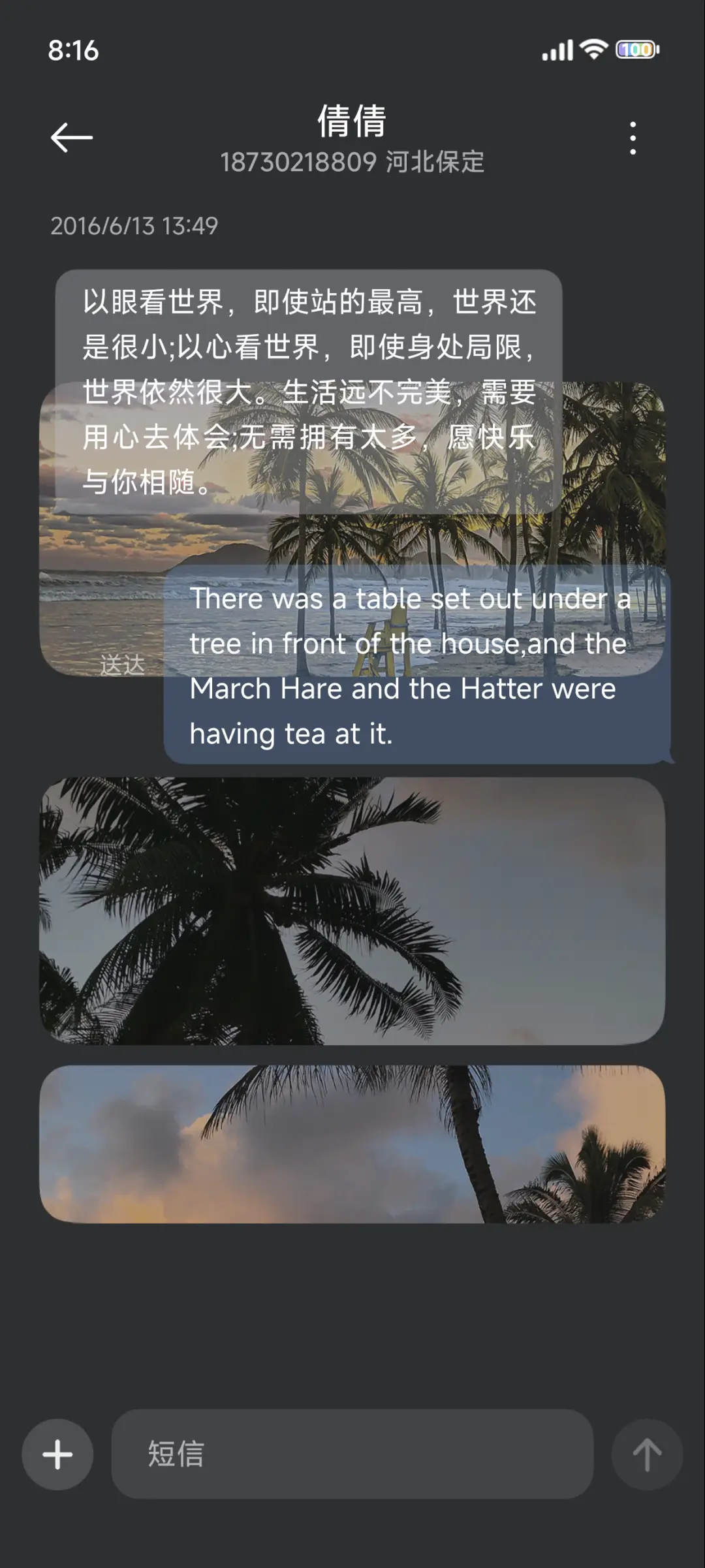 INS风景 浪漫椰林 - Screenshot 8
