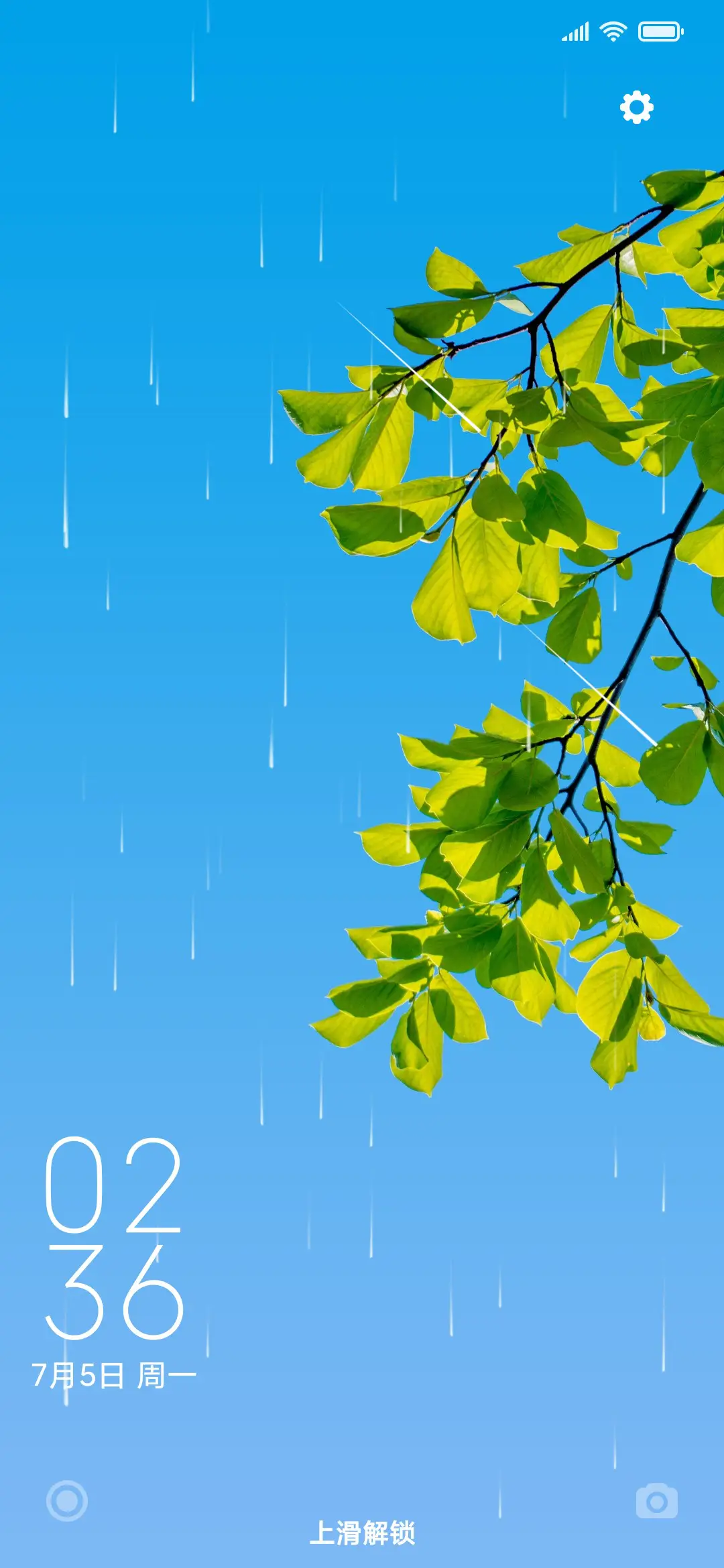 护眼夏