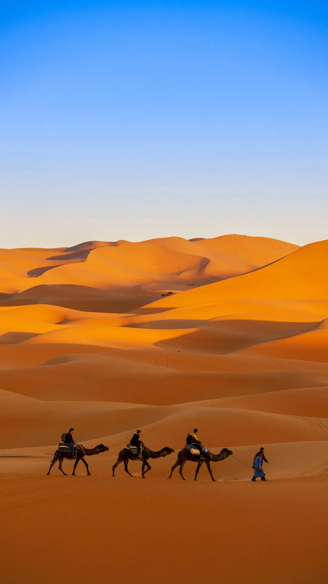 令人向往的生活方式 - Screenshot 1