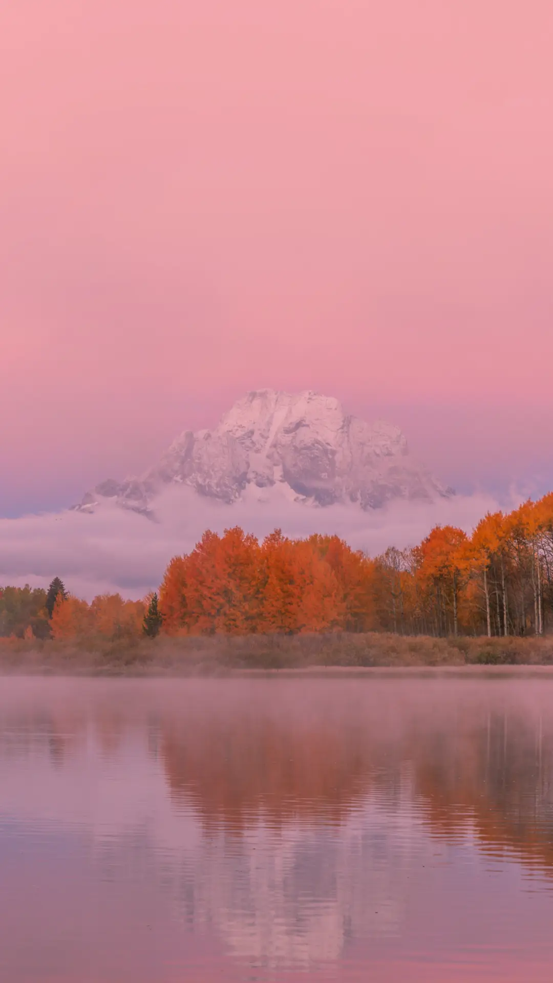 森林并非越多越好