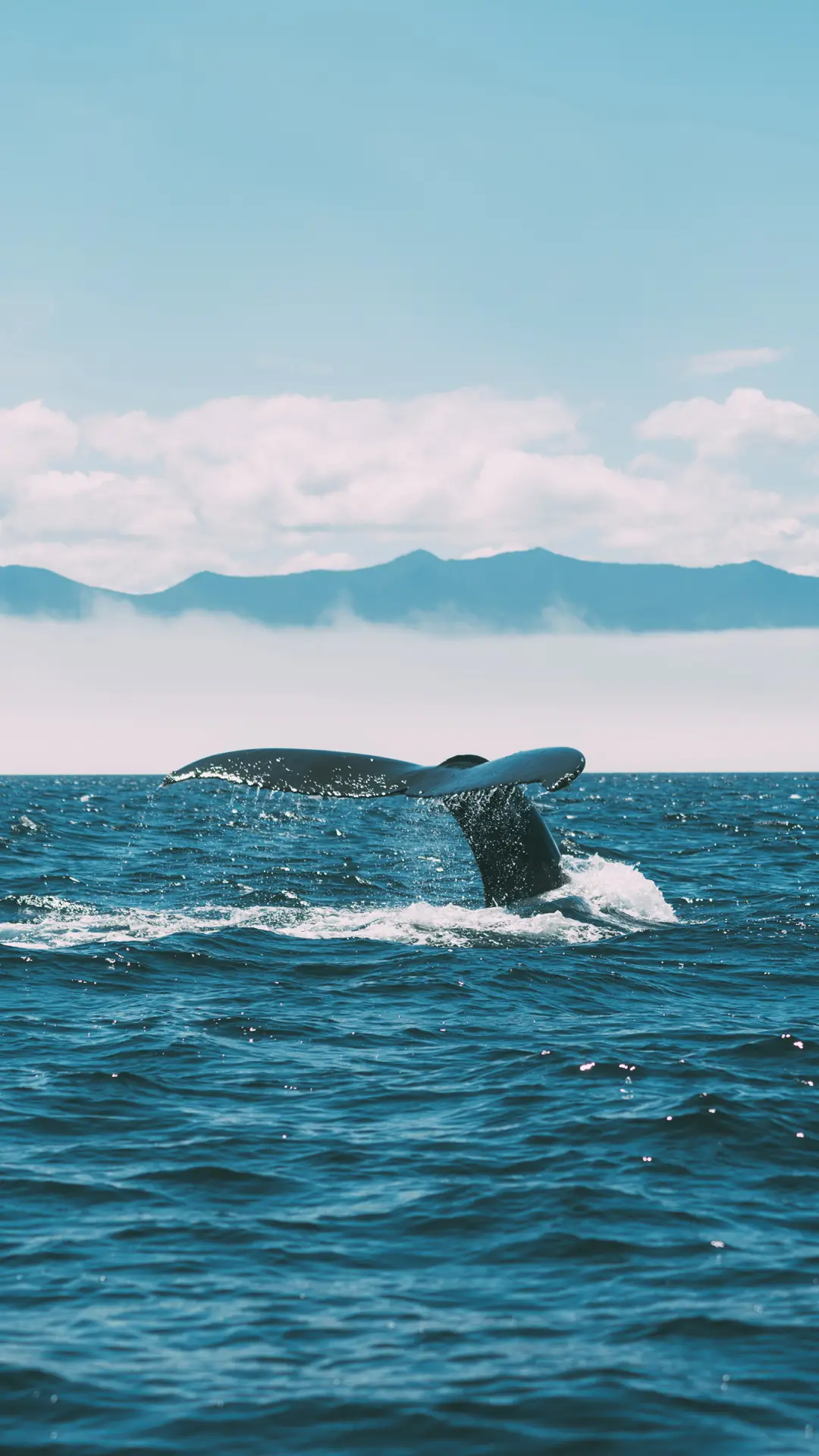 不要约束想象力