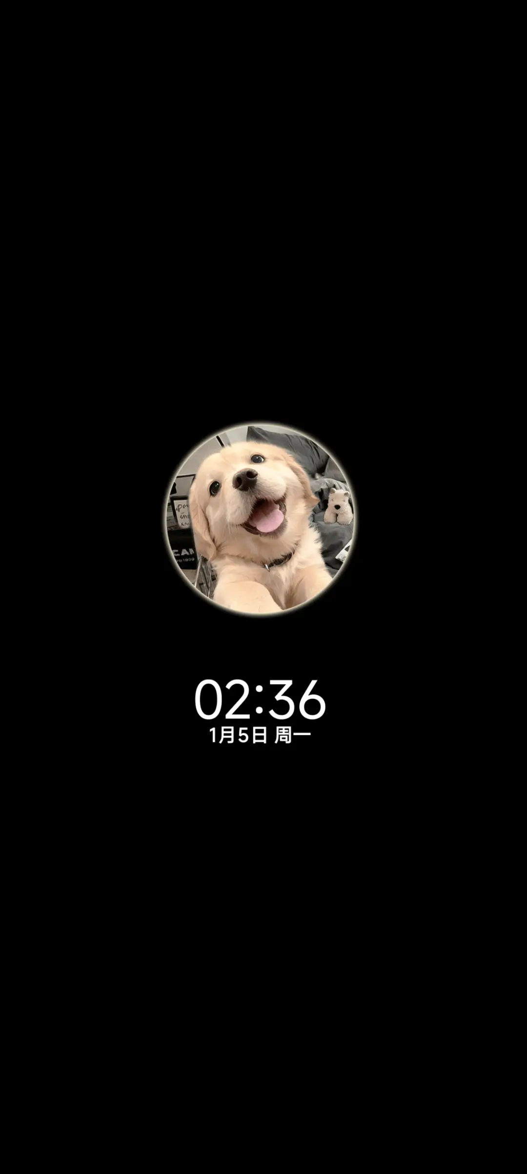 3D小金毛 自定义 - Screenshot 1