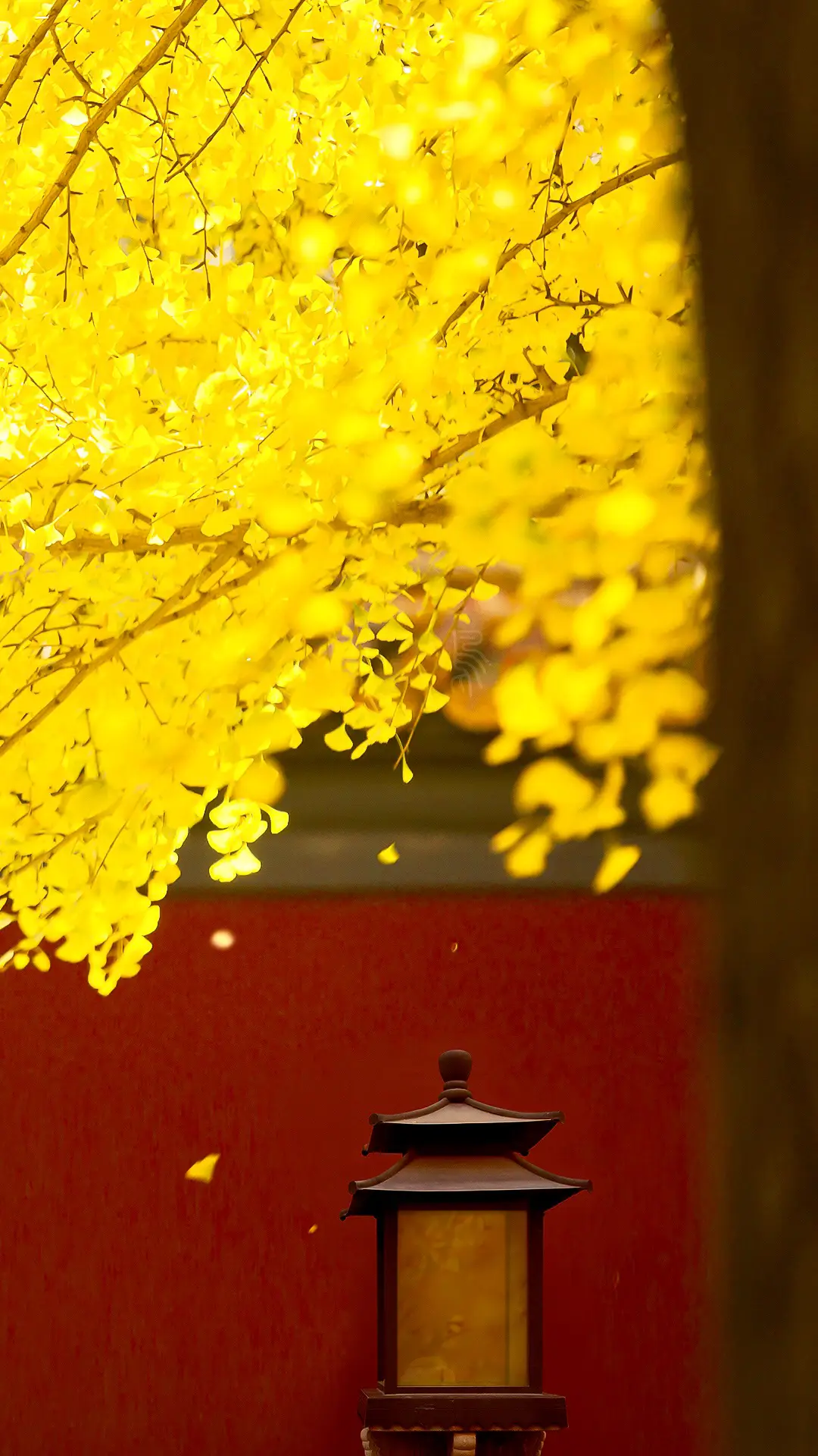 走进故宫 一眼千年 - Screenshot 1