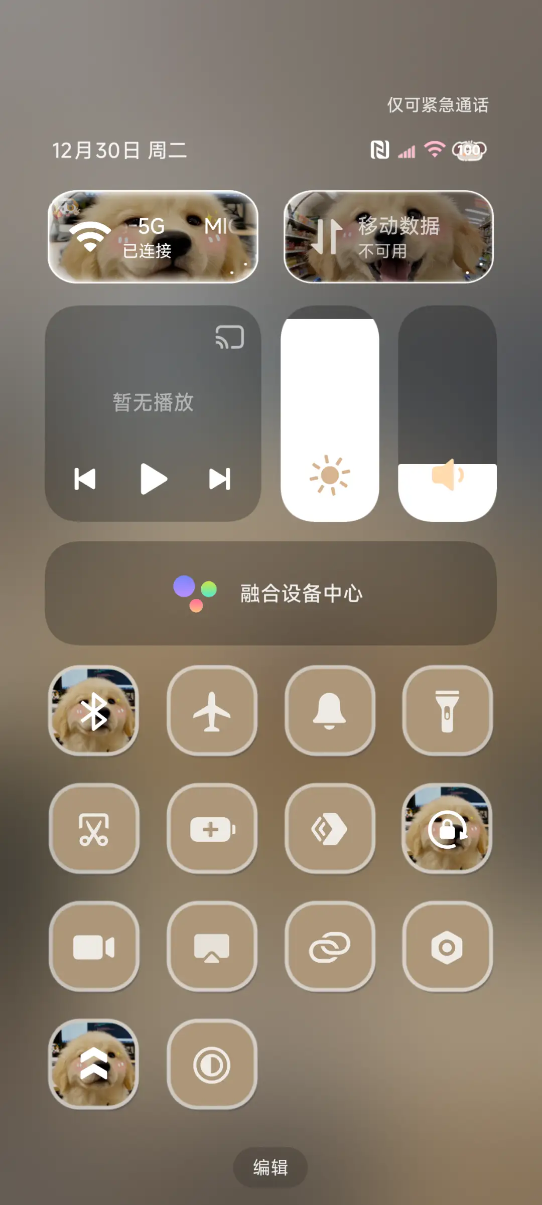 ins天选打工金毛 - Screenshot 11