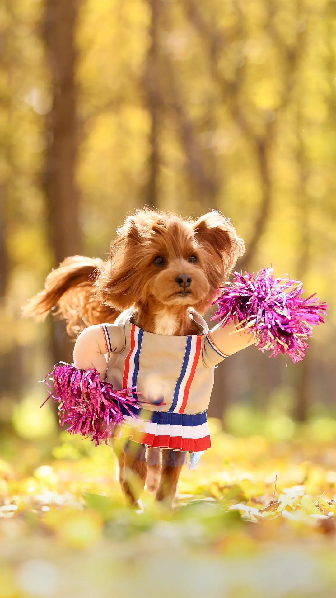 狗狗的底线 - Screenshot 1