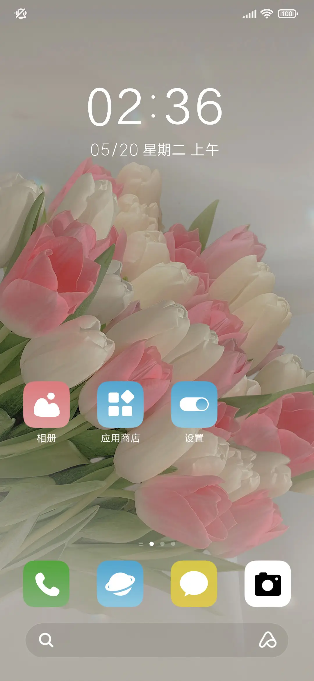 简约ins郁金香 - Screenshot 2