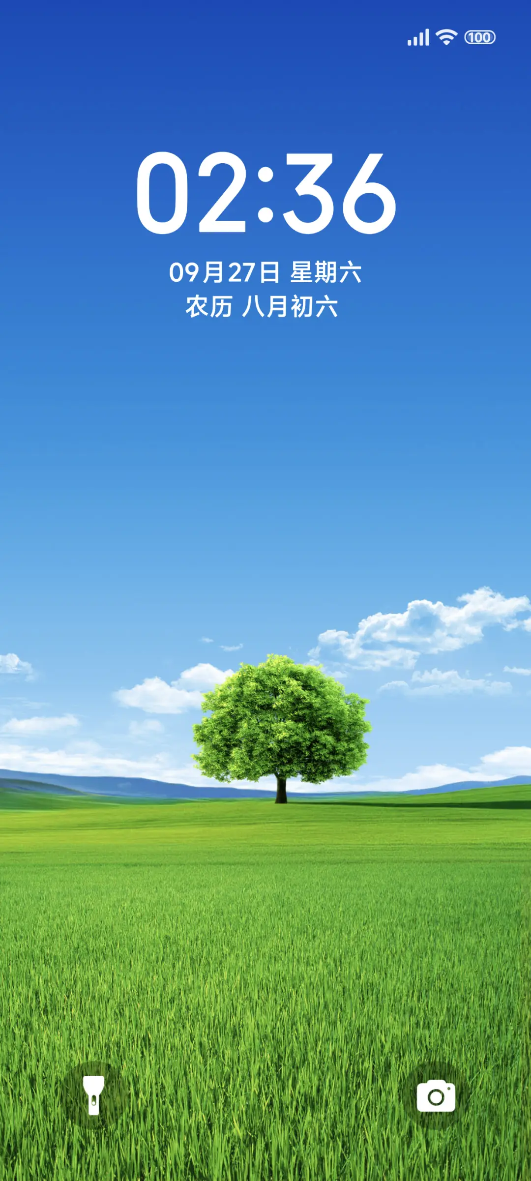 护眼绿野的一天