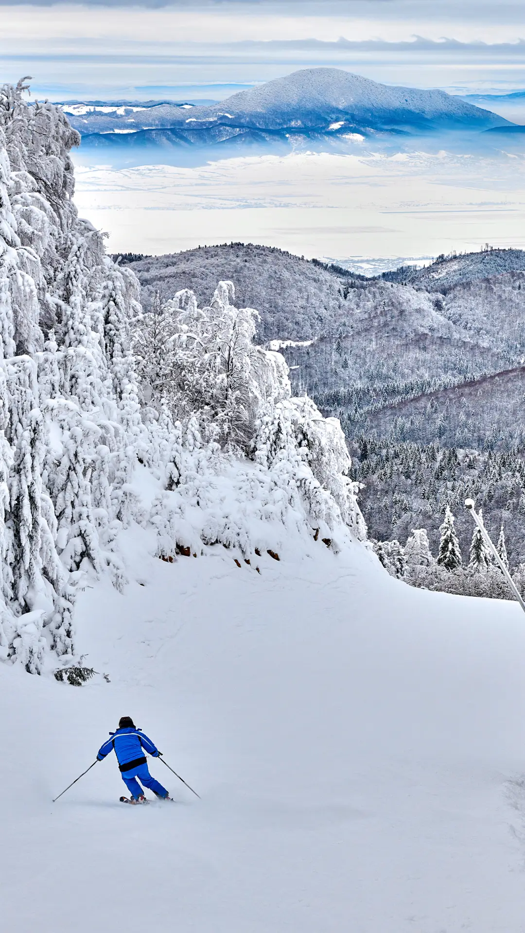 冬季壁纸-拍信图库 - Screenshot 1