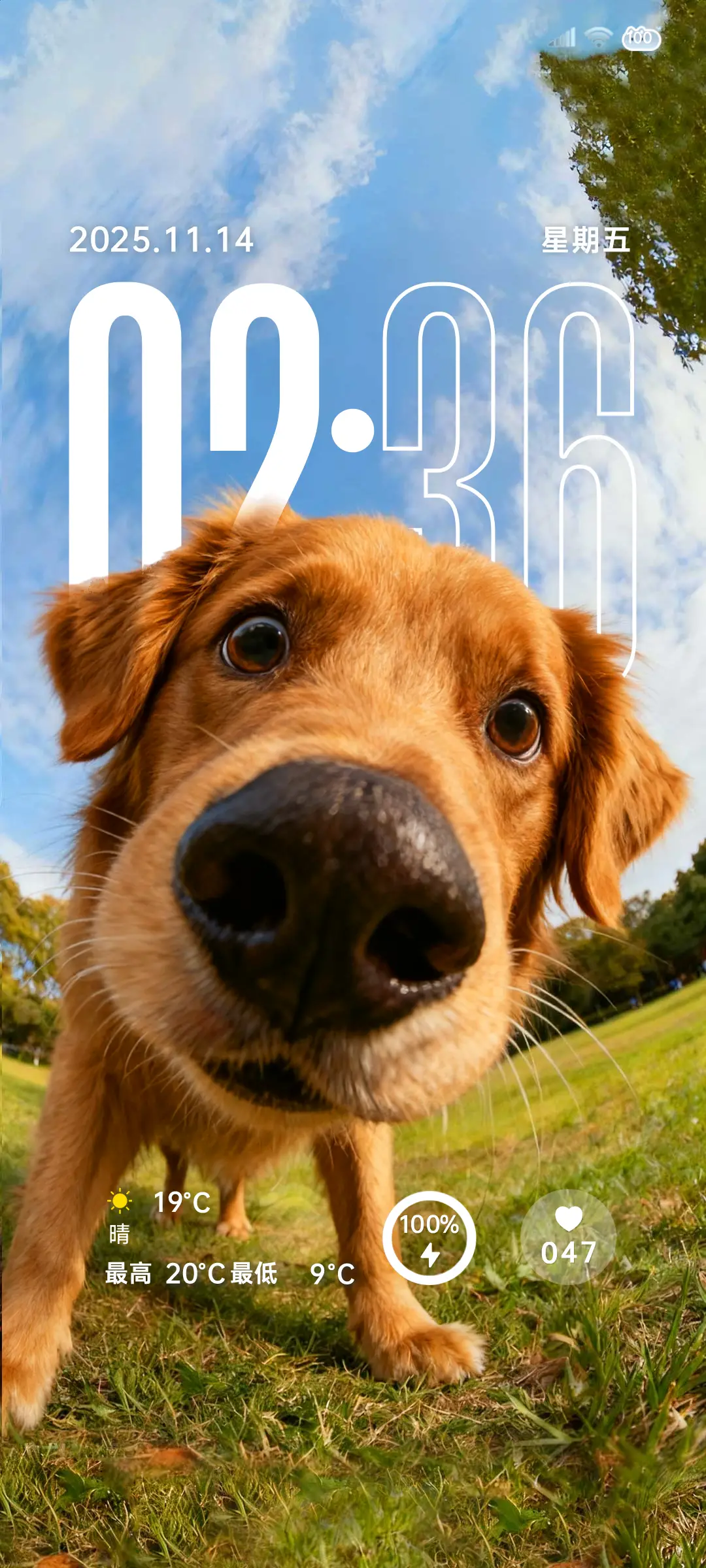 3d景深 突然靠近 THEME for Xiaomi MIUI HyperOS