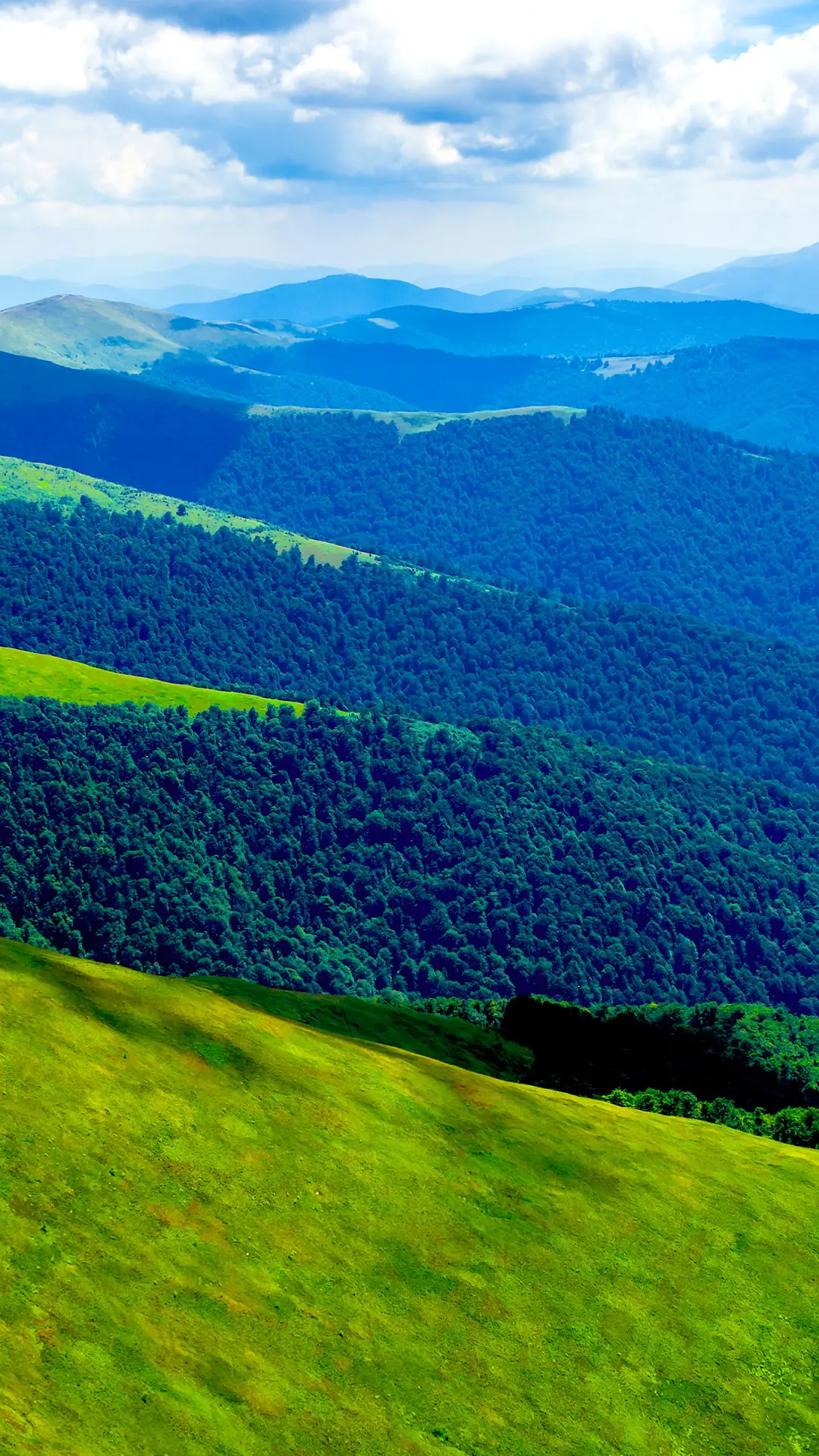 护眼蓝天绿草-拍信图库