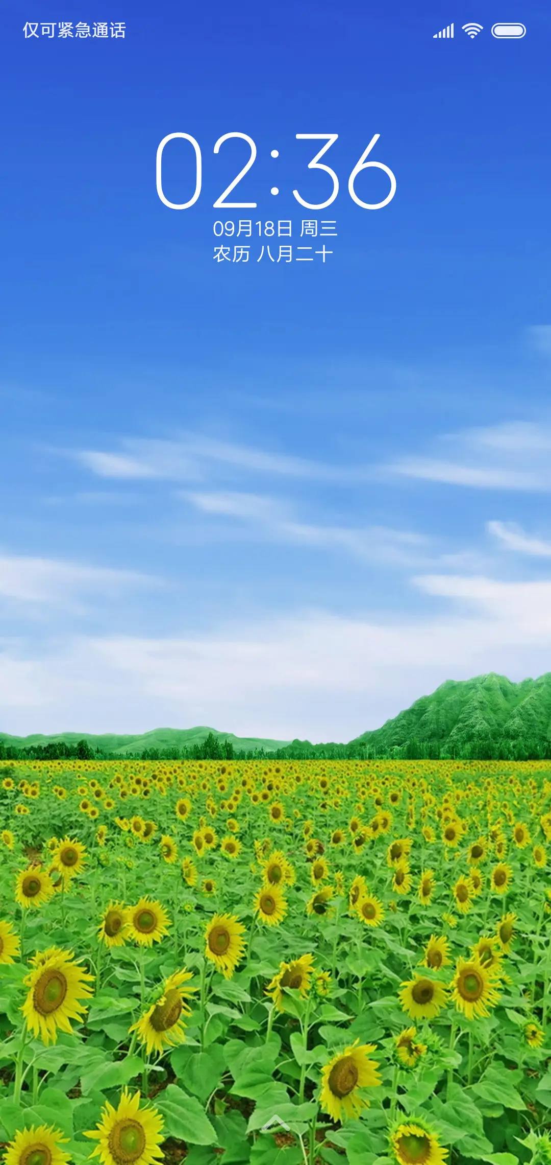 清新护眼 向日葵