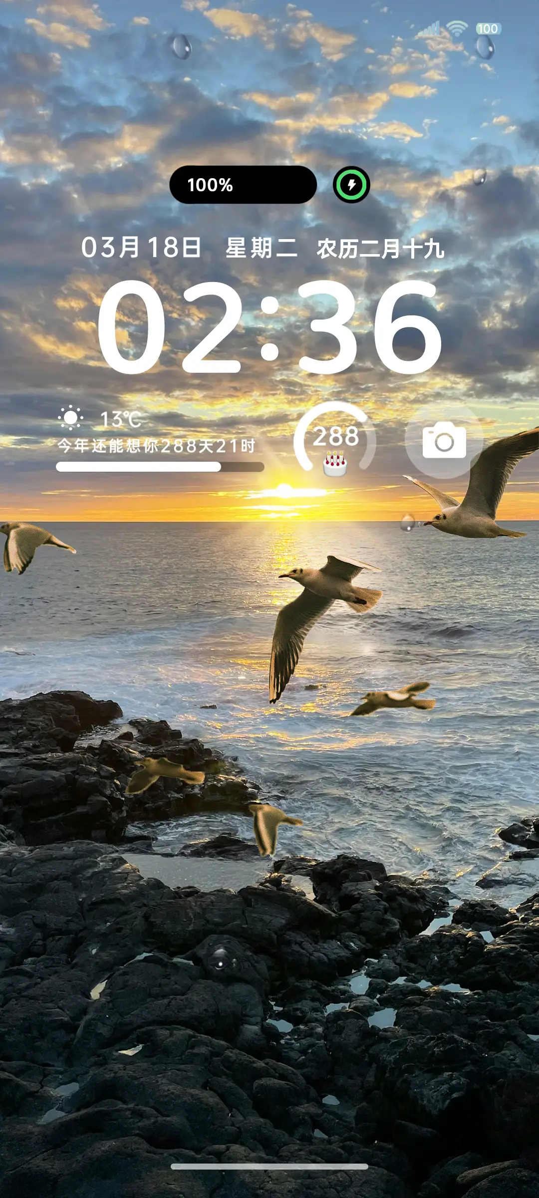 海鸥落日氛围感