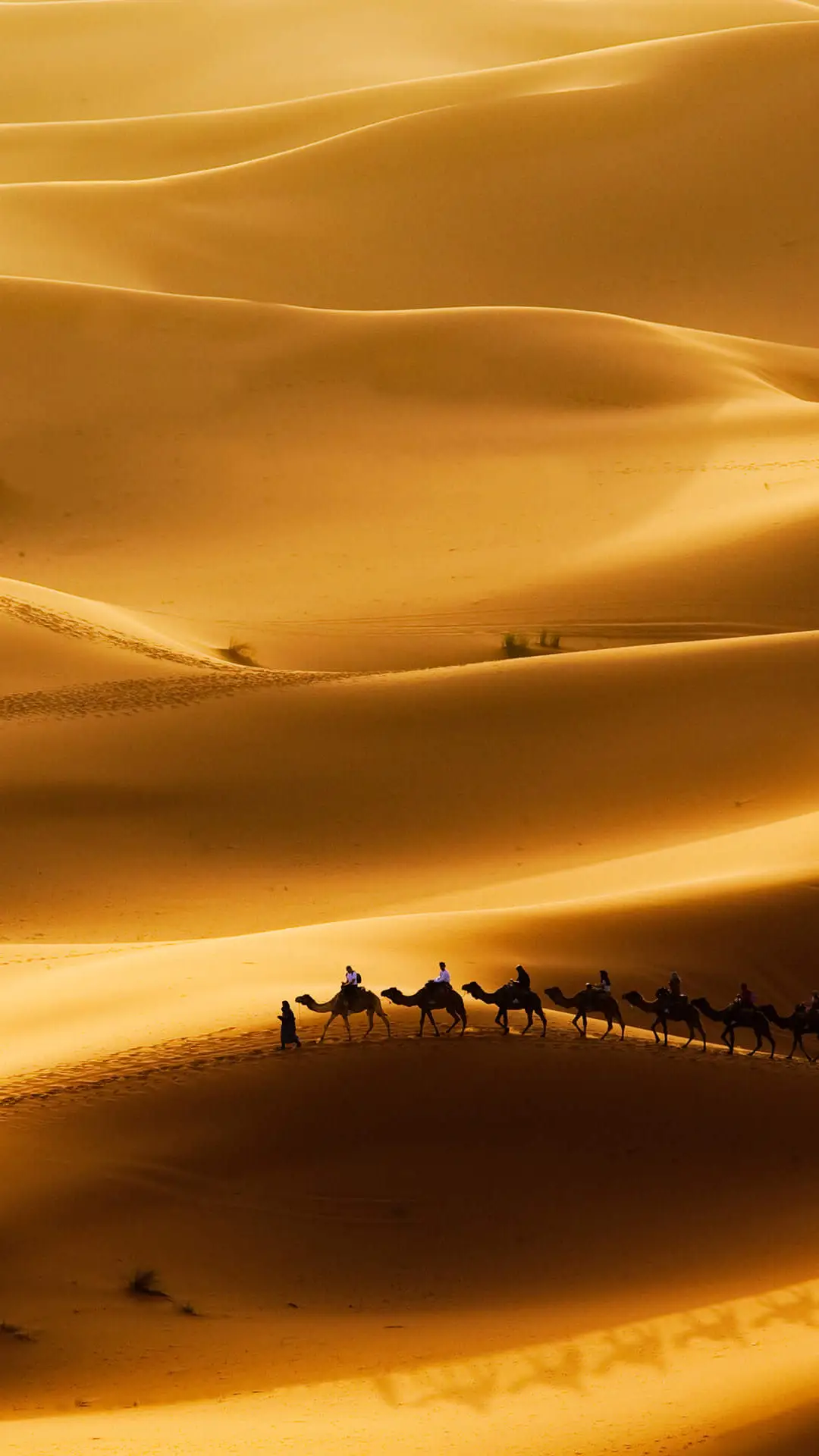 大漠孤烟-拍信图库 - Screenshot 1