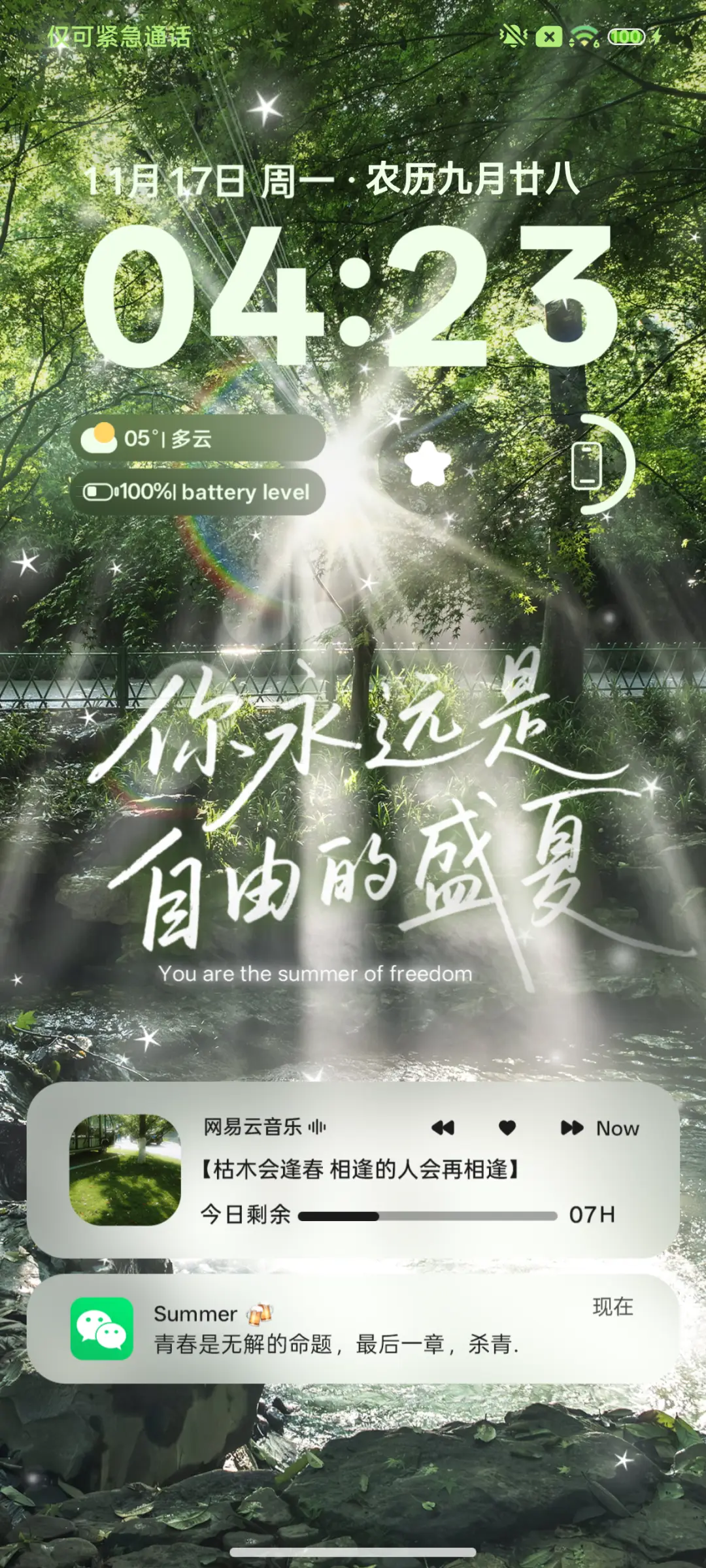 ins夏天以你为名 - Screenshot 3