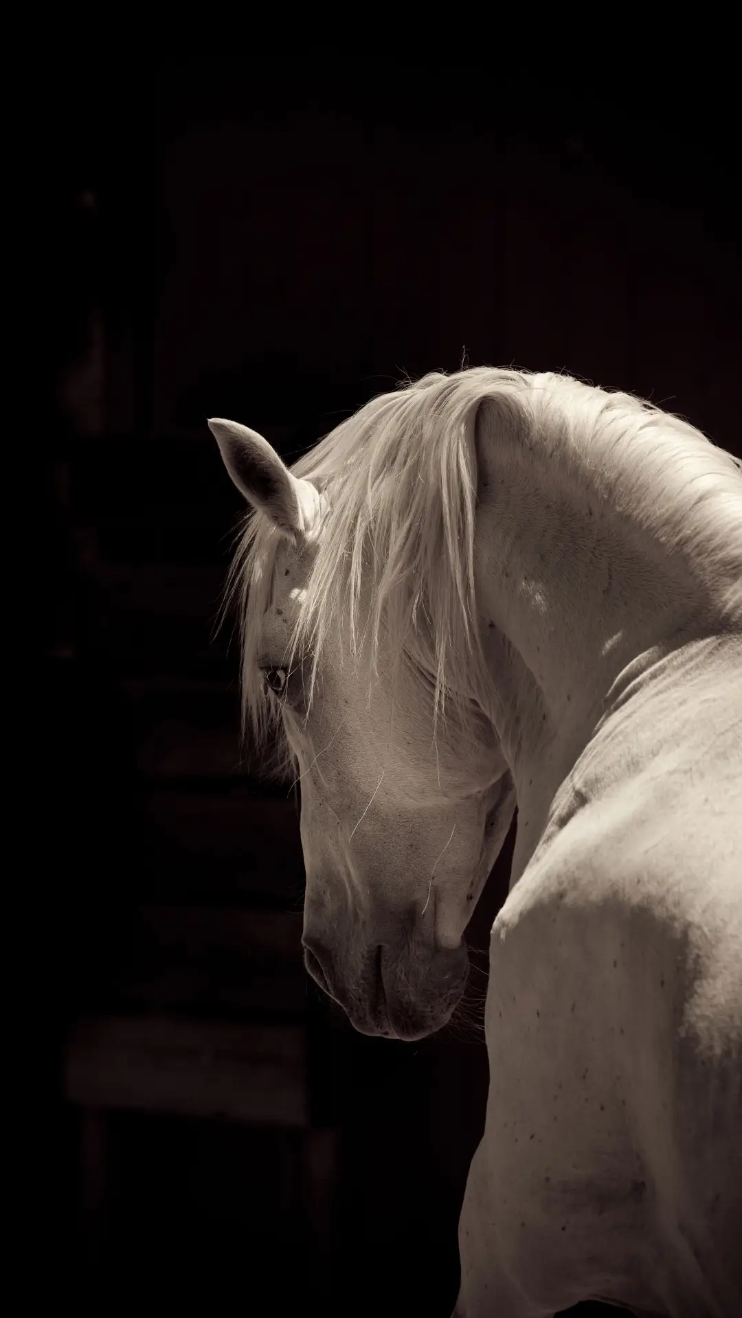 骏马-视觉中国 - Screenshot 1