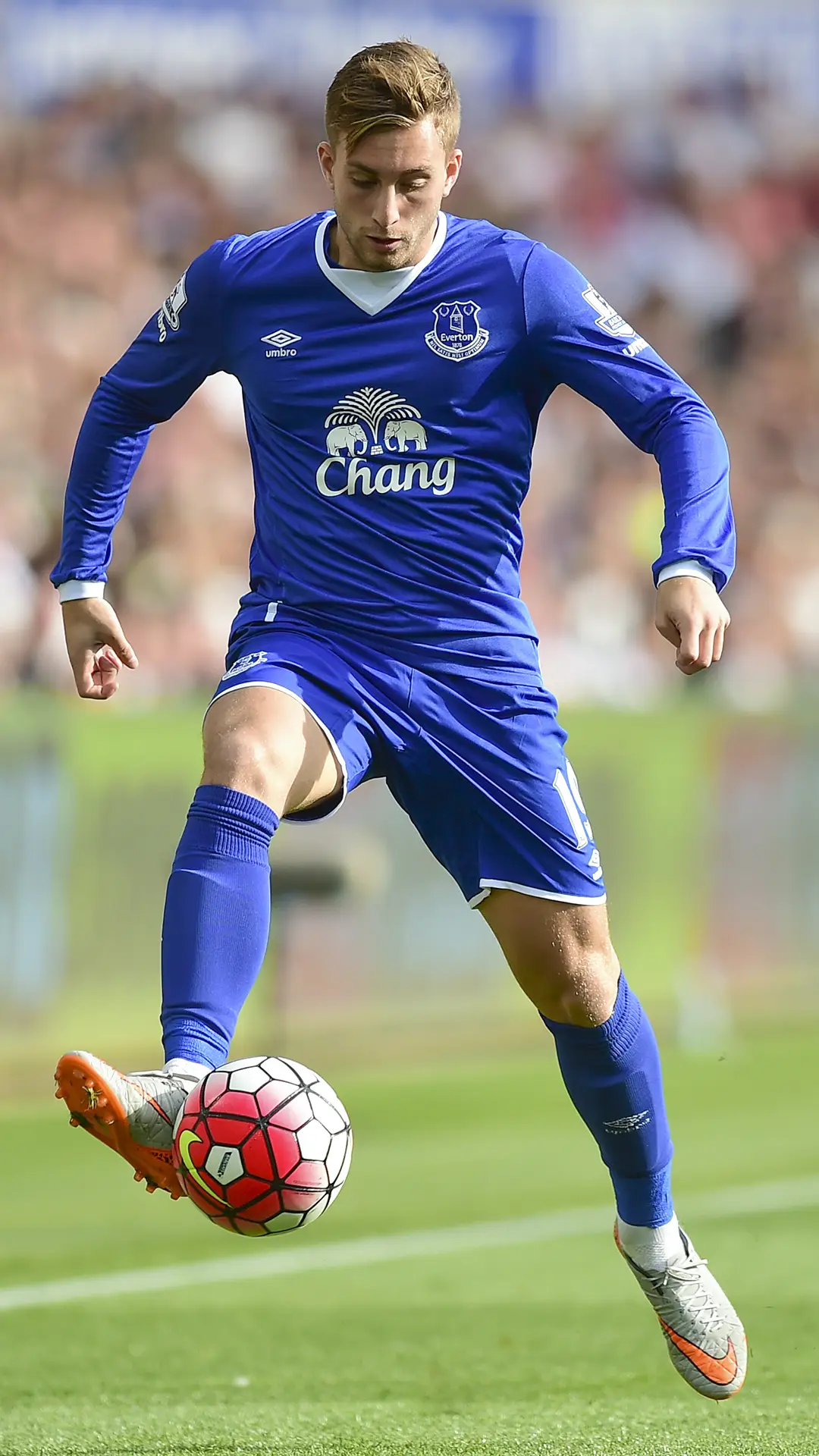 “白小罗”德乌洛费乌