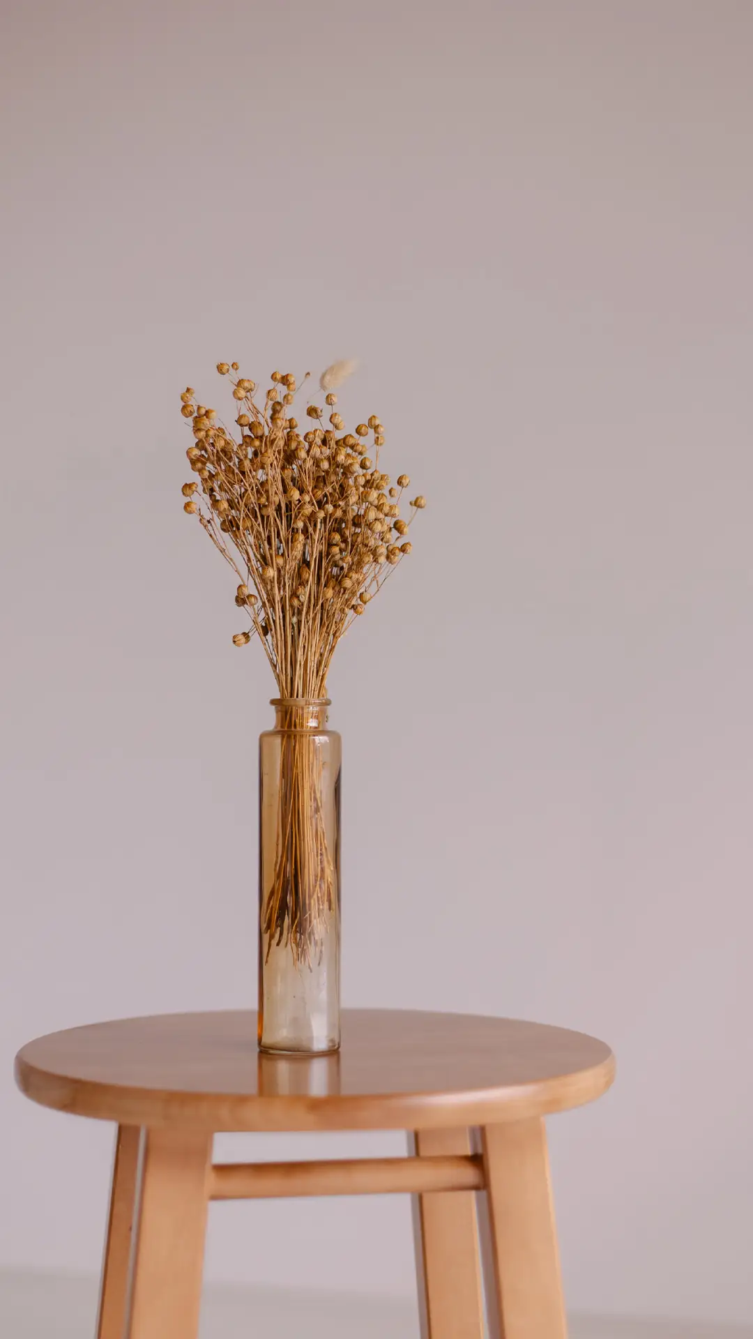 静谧的生活-拍信图库