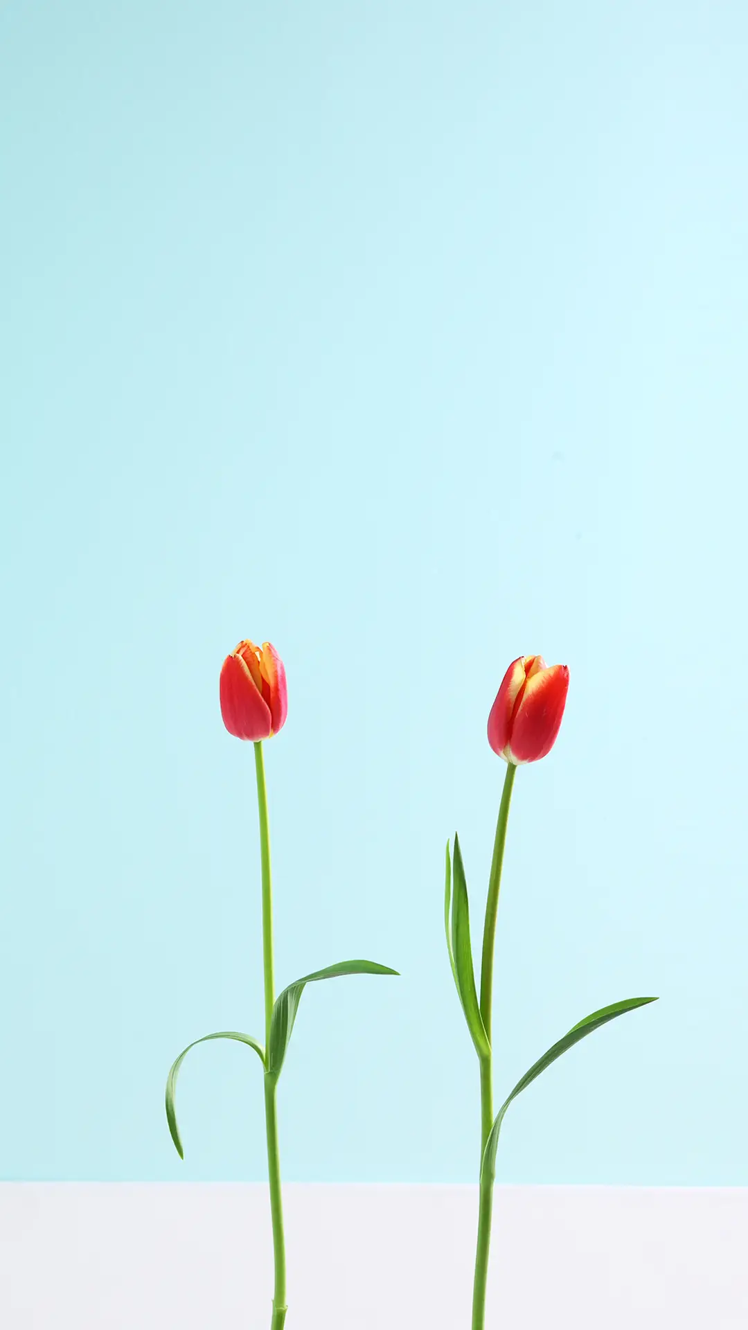 纯洁的心灵 - Screenshot 1