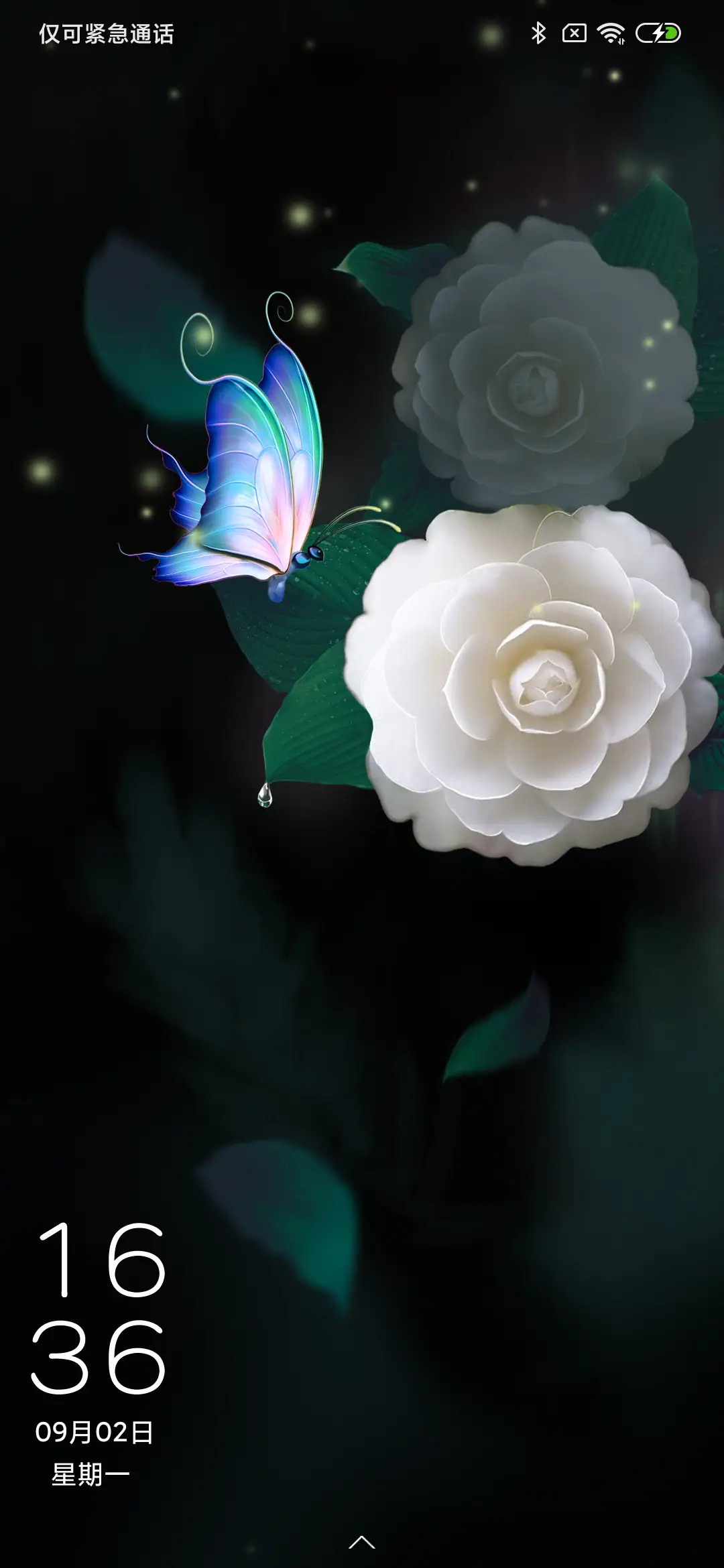 花自飘零 - Screenshot 1