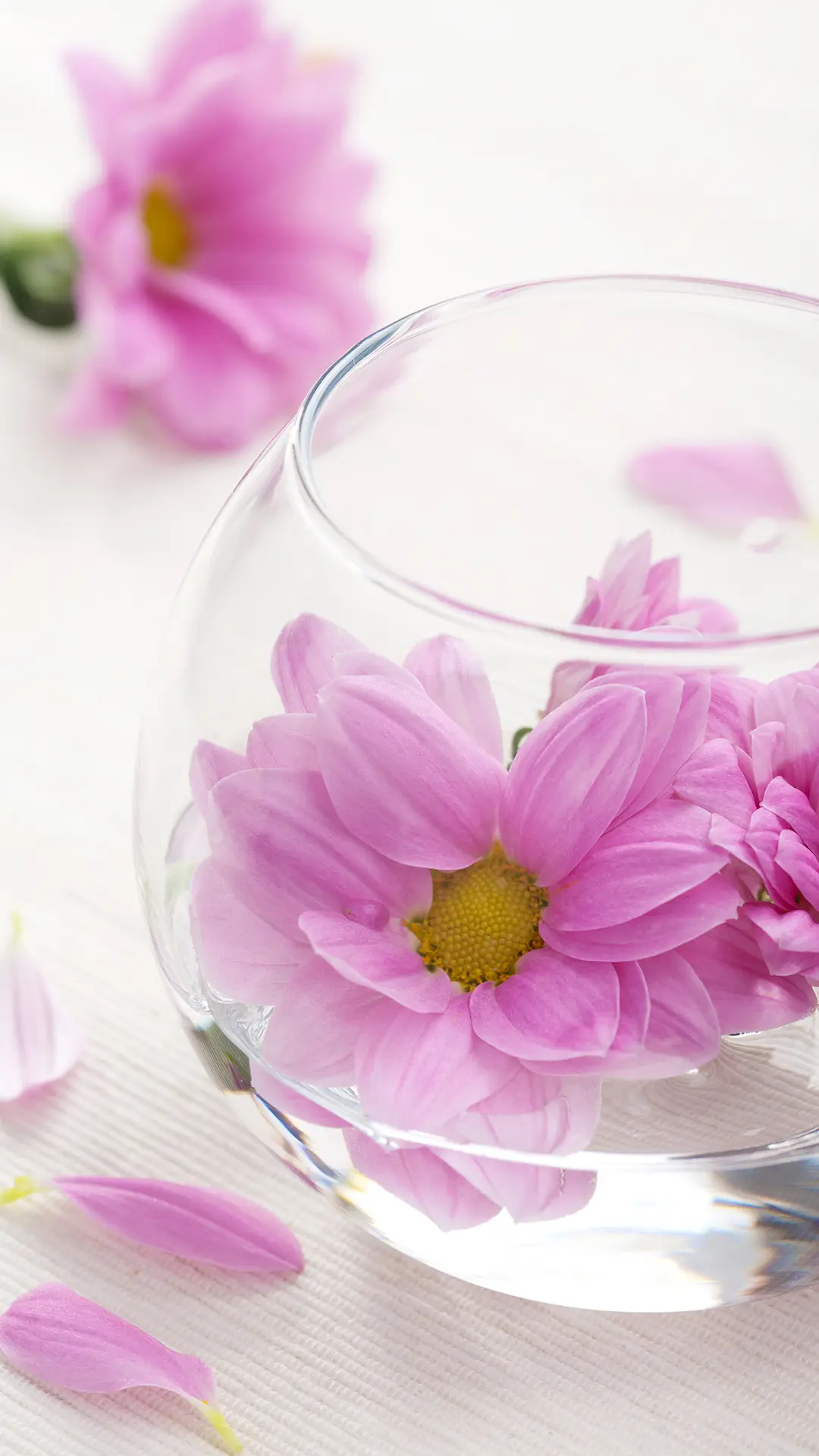 繁花盛开的夏天 - Screenshot 1