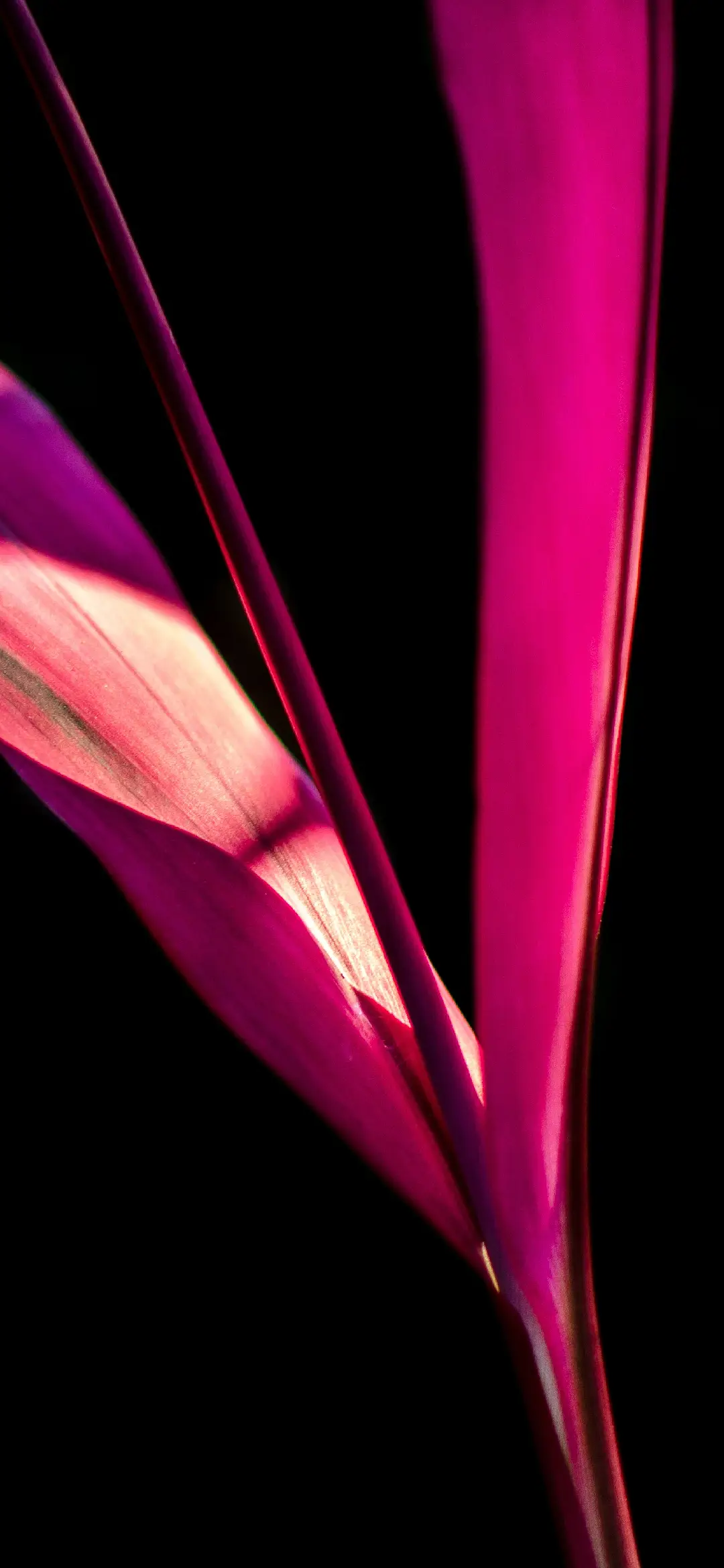 拾光 - Screenshot 1