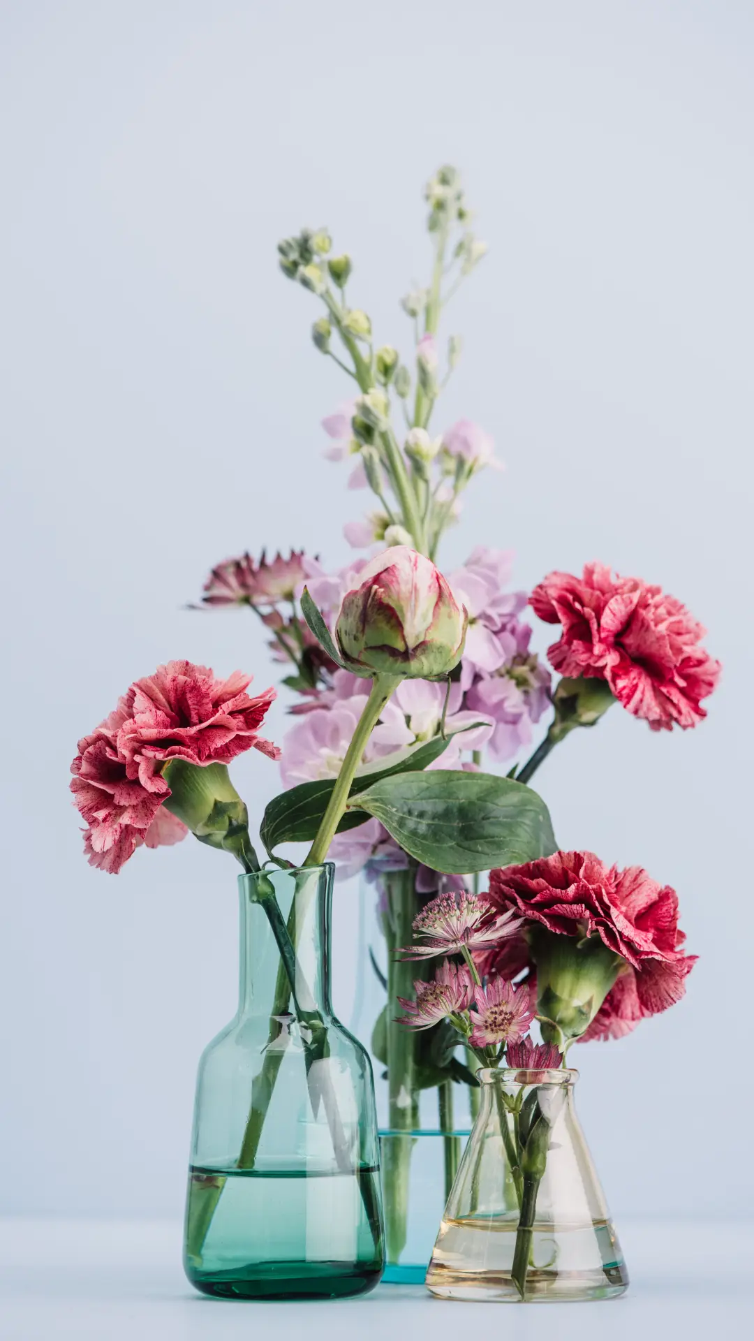 花艺设计的入门技巧