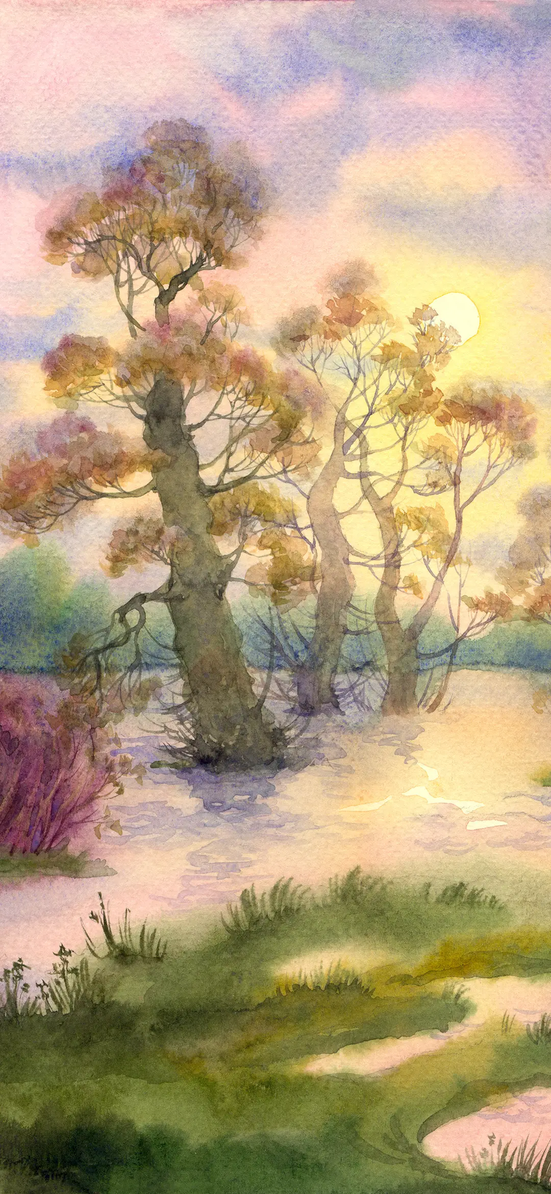 秋意浓-拍信图库