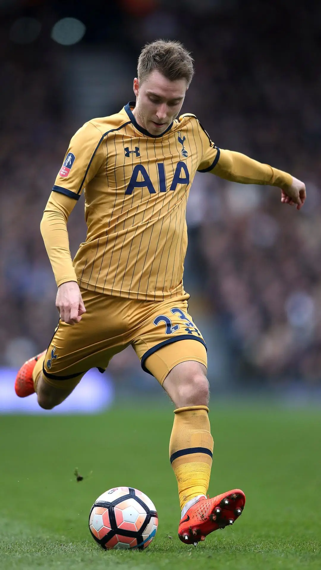 全能中场埃里克森