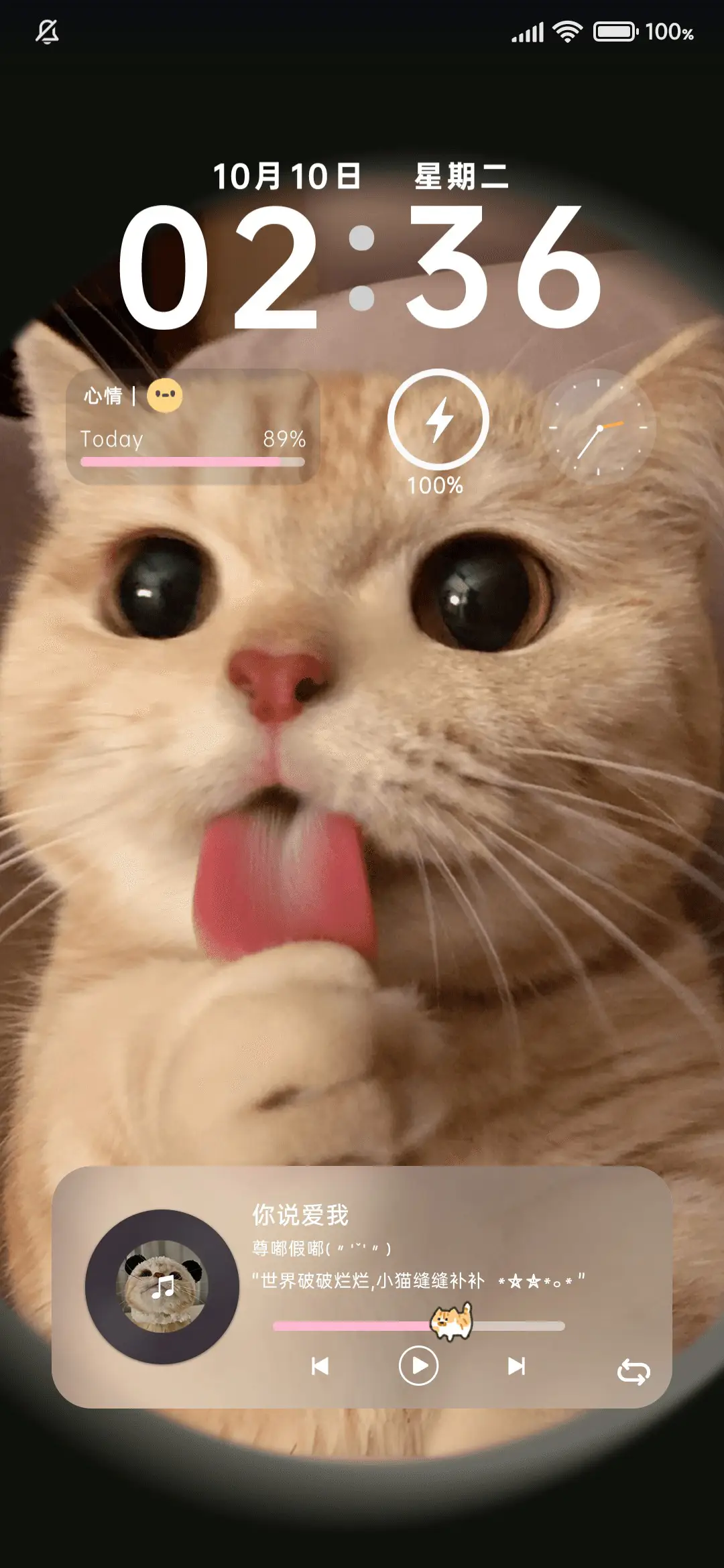 橘猫沙梨简约组件