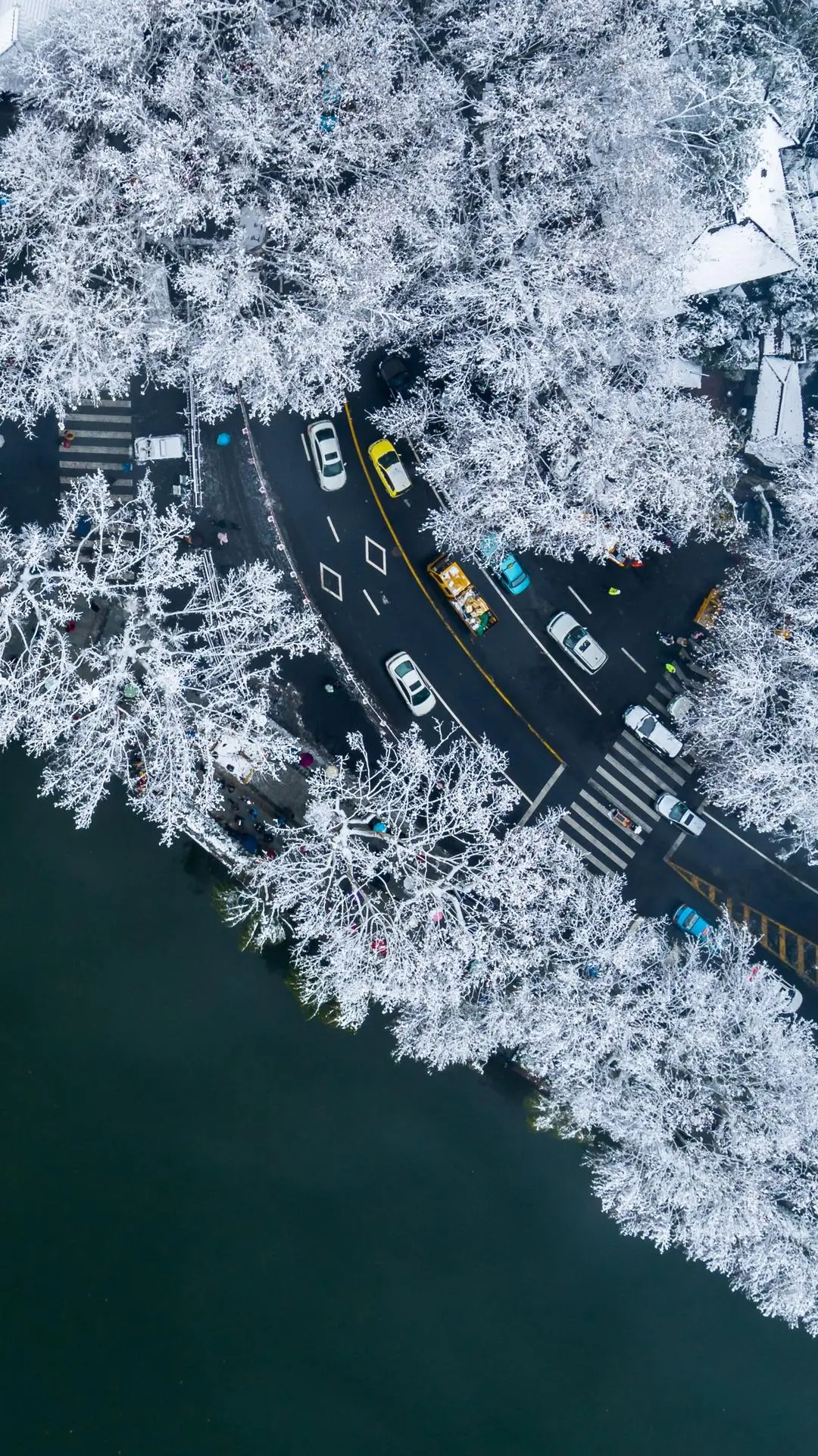 假如孤独会说话